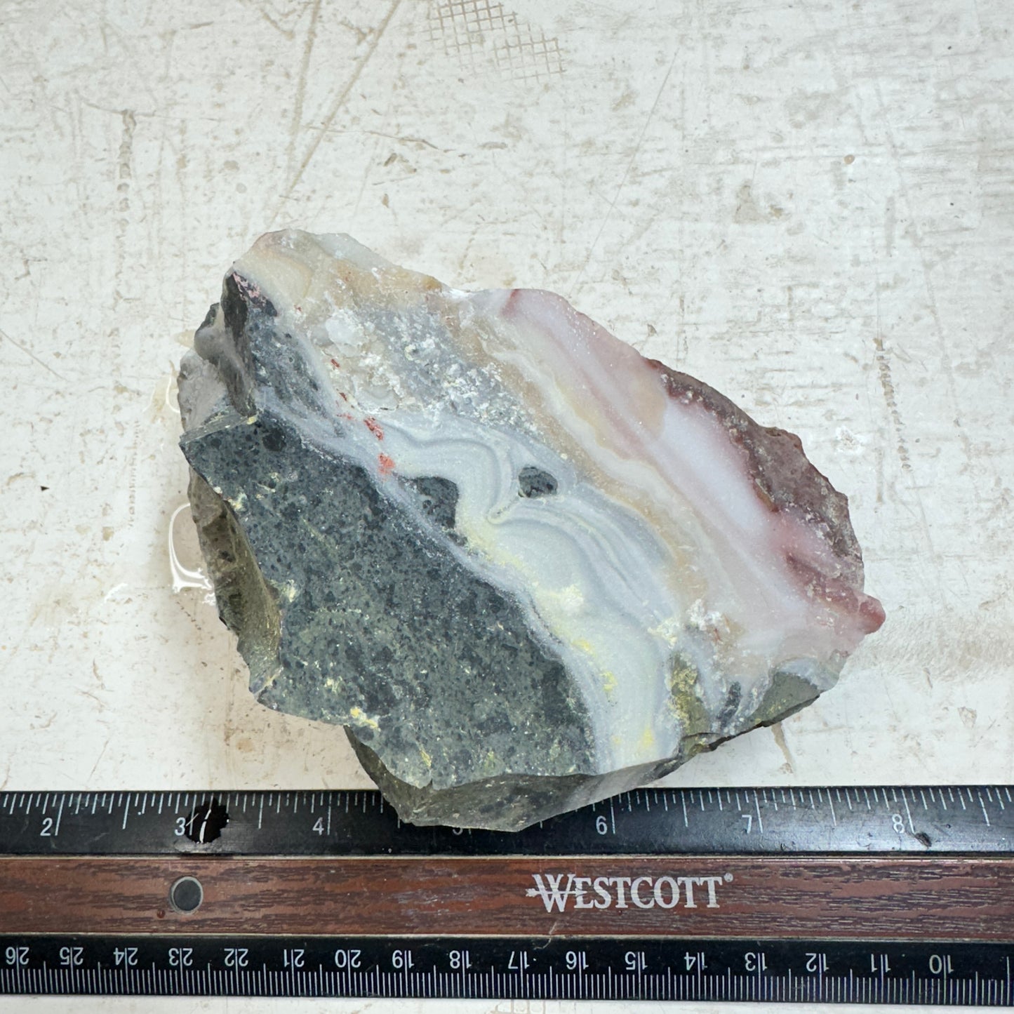 WINDY MOUNTAIN AGATE Rough - 1.40 Pounds