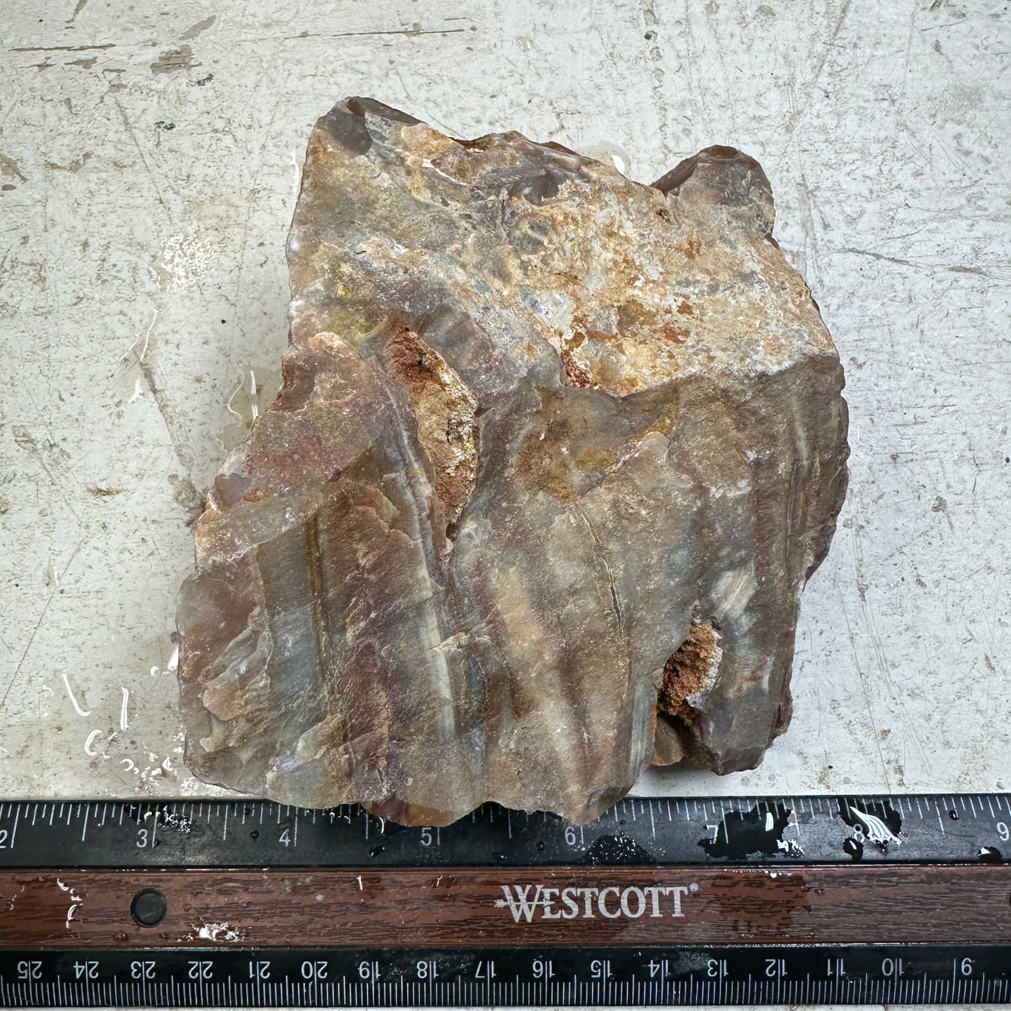 SUMATRAN FLAME SAGENITE AGATE Rough - 1.49 pounds