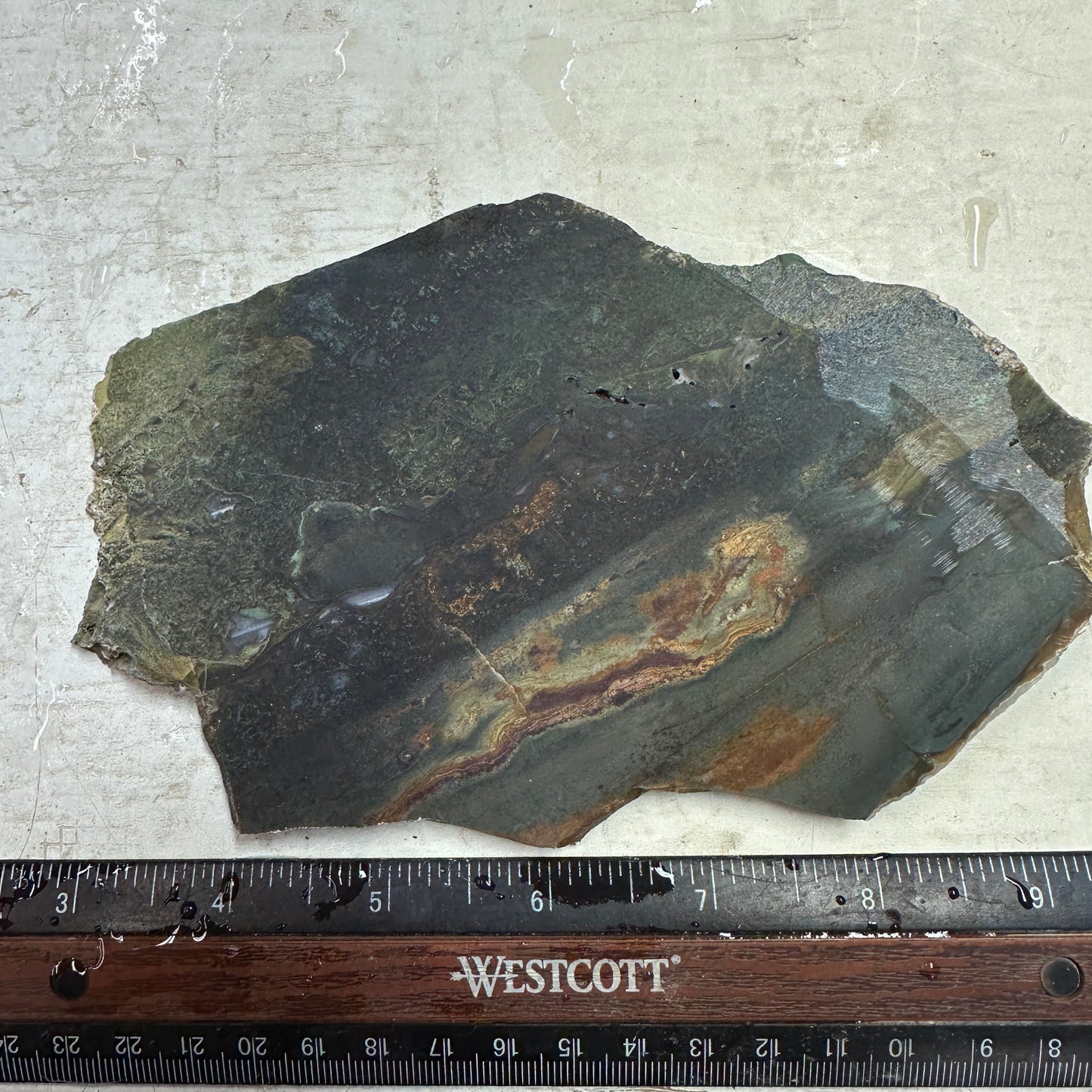 ECHO RIDGE JASPER Slab - 214 grams