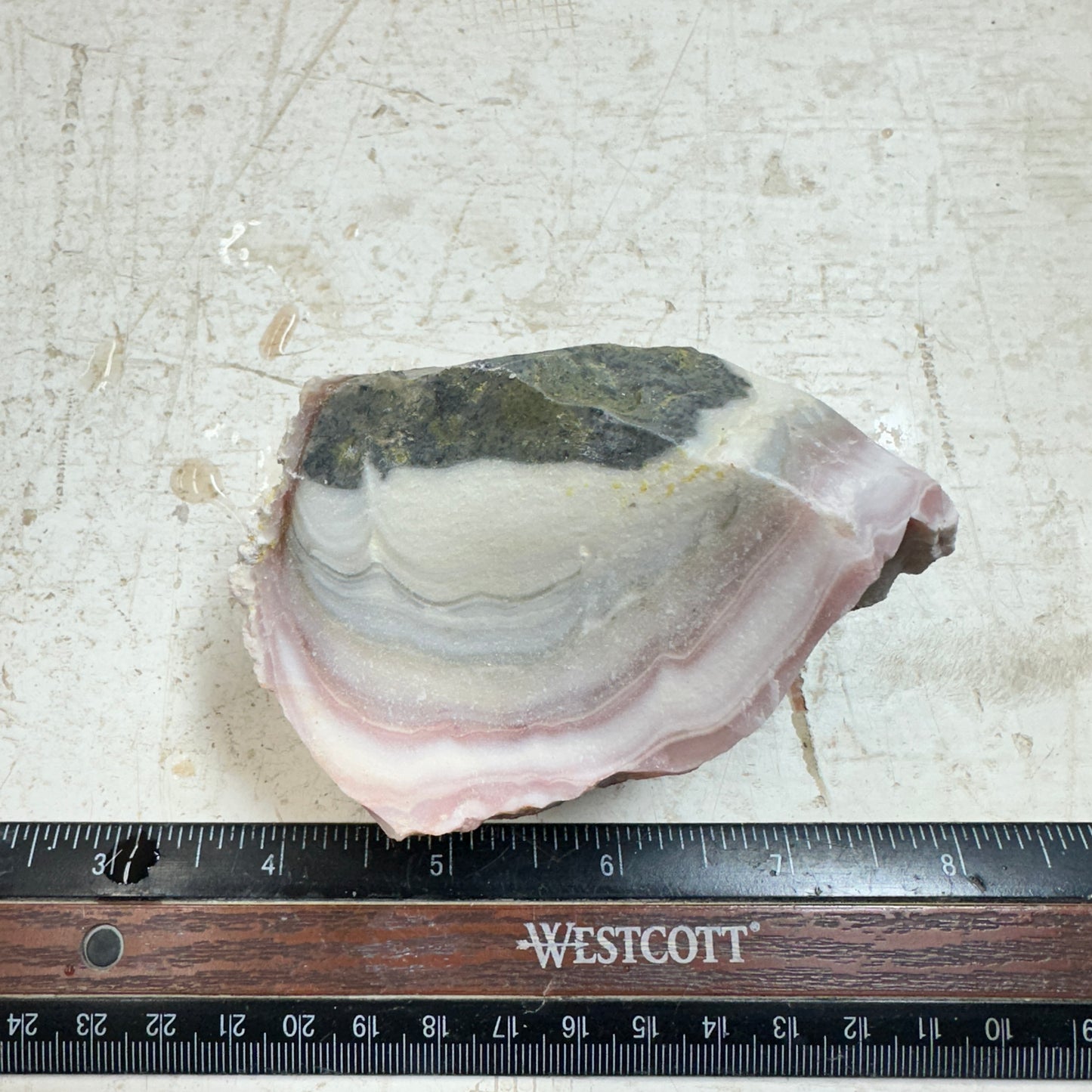 WINDY MOUNTAIN AGATE Rough - 0.70 Pounds