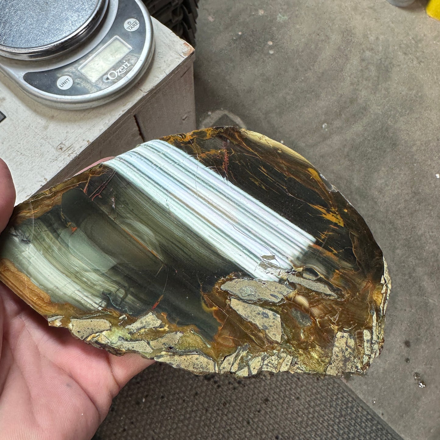 BLUE MOUNTAIN JASPER Polished Specimen Slab - 252 grams