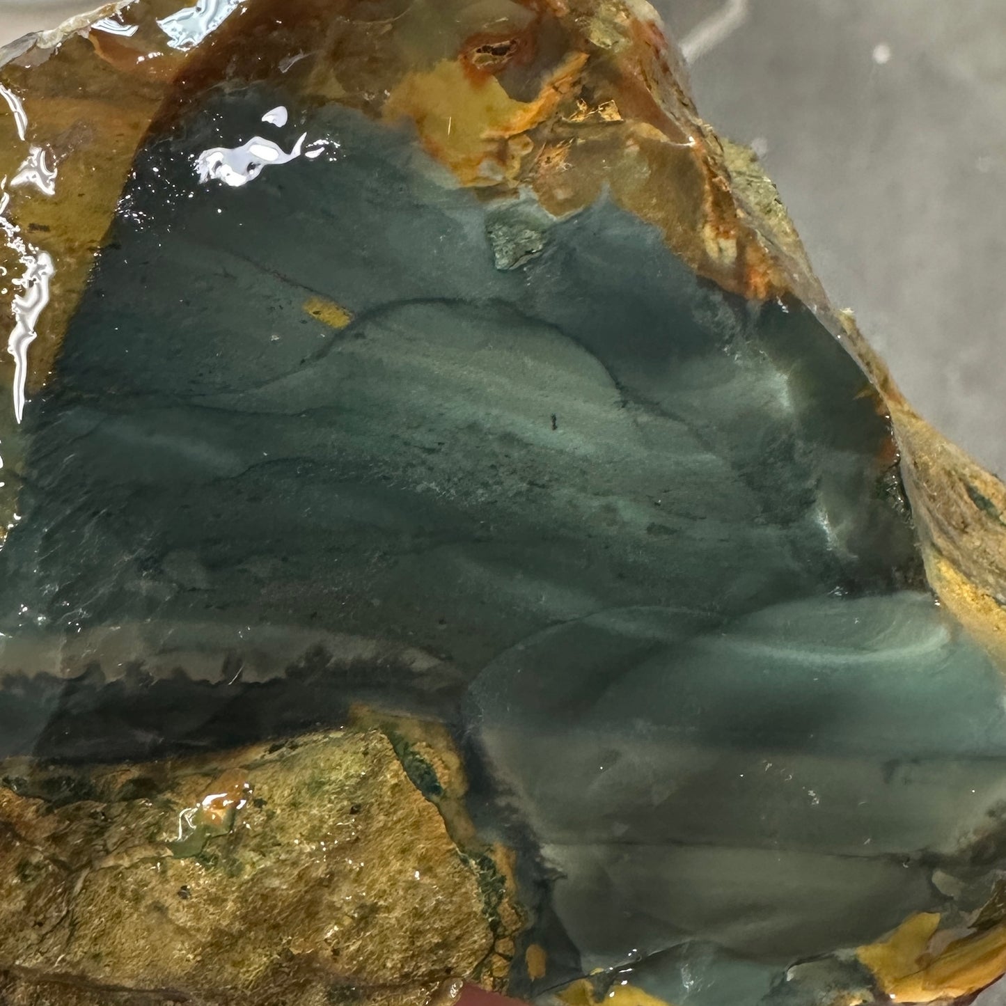 BLUE MOUNTAIN JASPER Rough - 0.99 Pounds