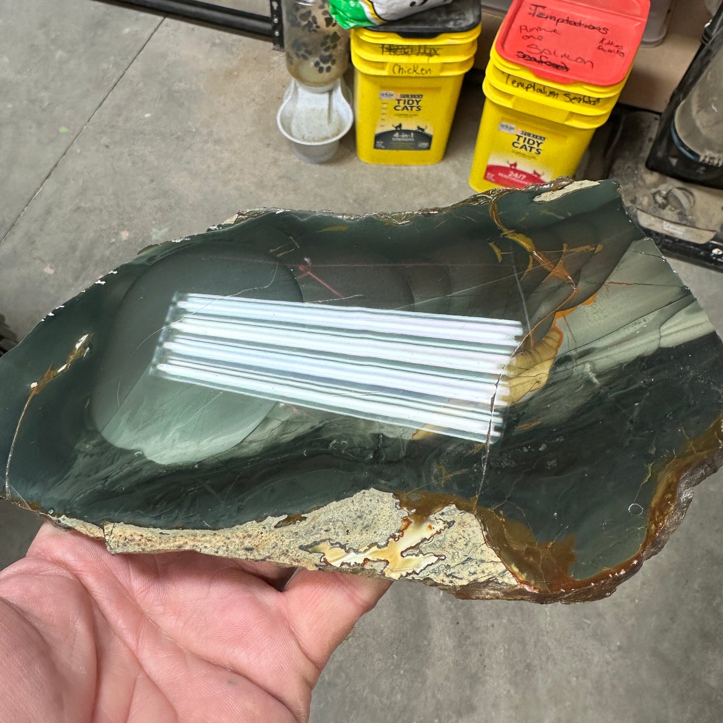 BLUE MOUNTAIN JASPER Polished Specimen Slab - 379 grams