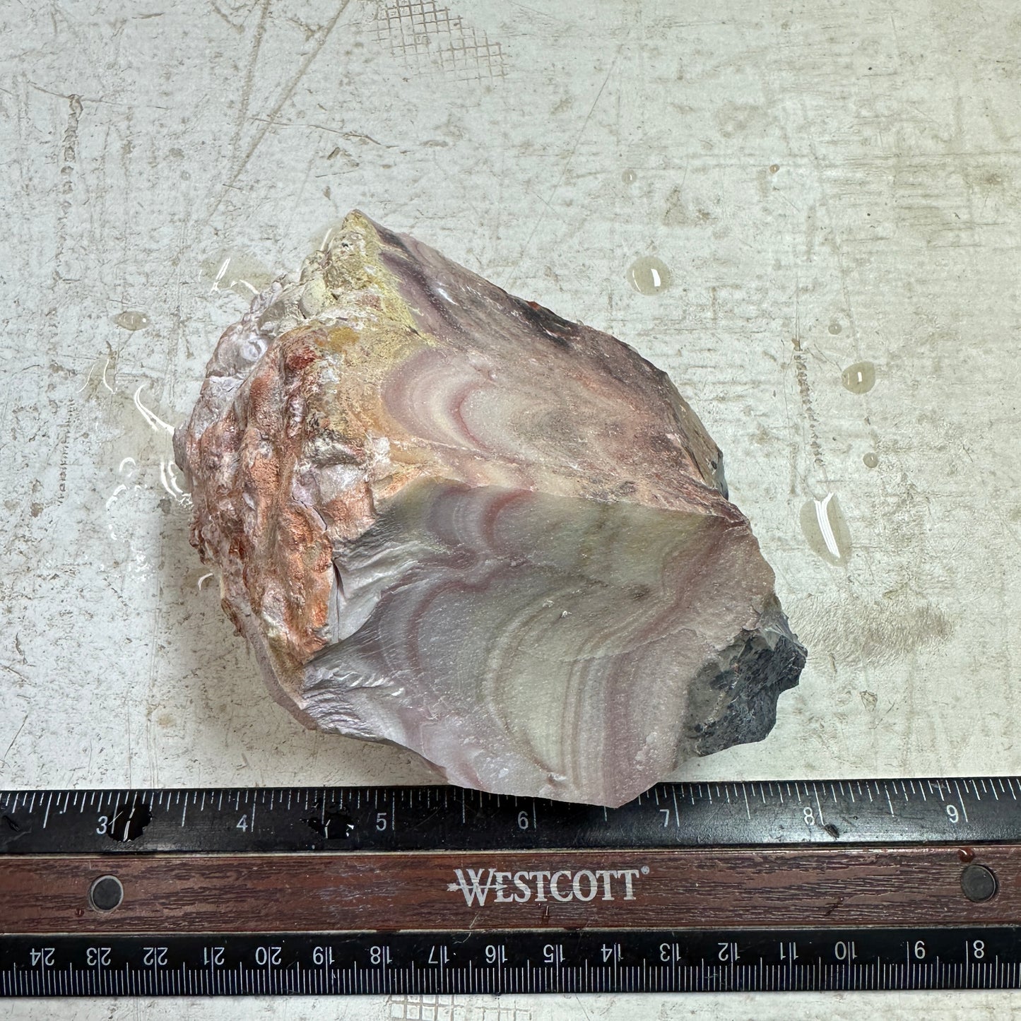 WINDY MOUNTAIN AGATE Rough - 1.42 Pounds