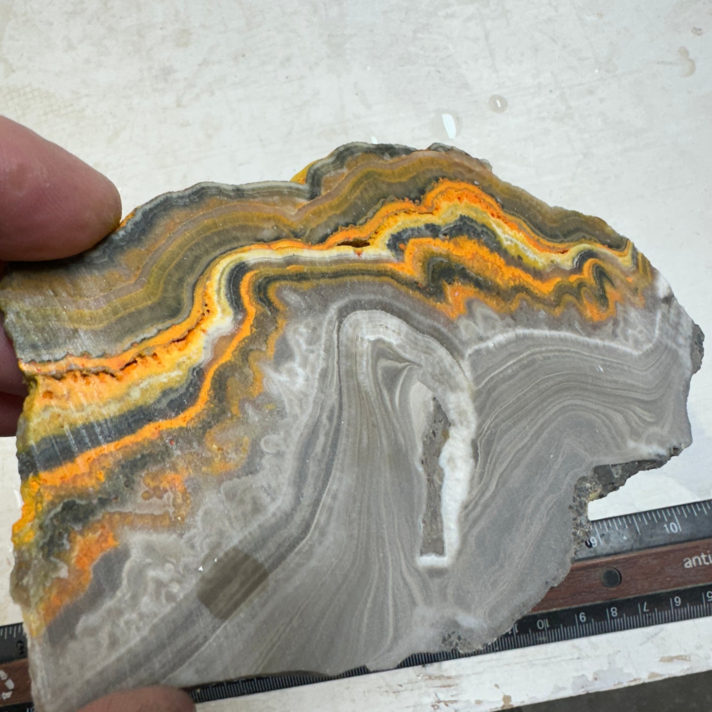 BUMBLEBEE ONYX Slab - 177 grams