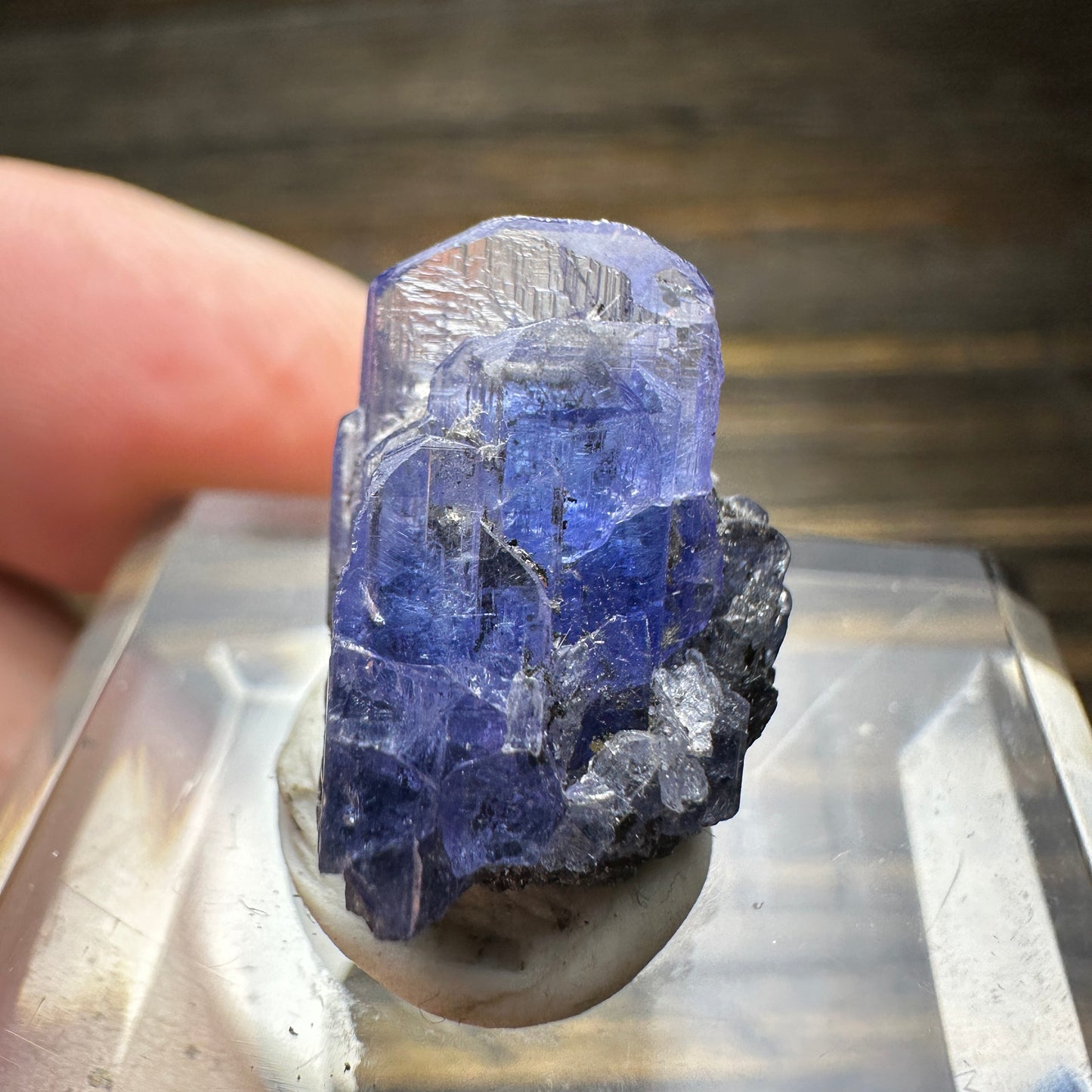 TANZANITE Crystal Display Mineral Specimen
