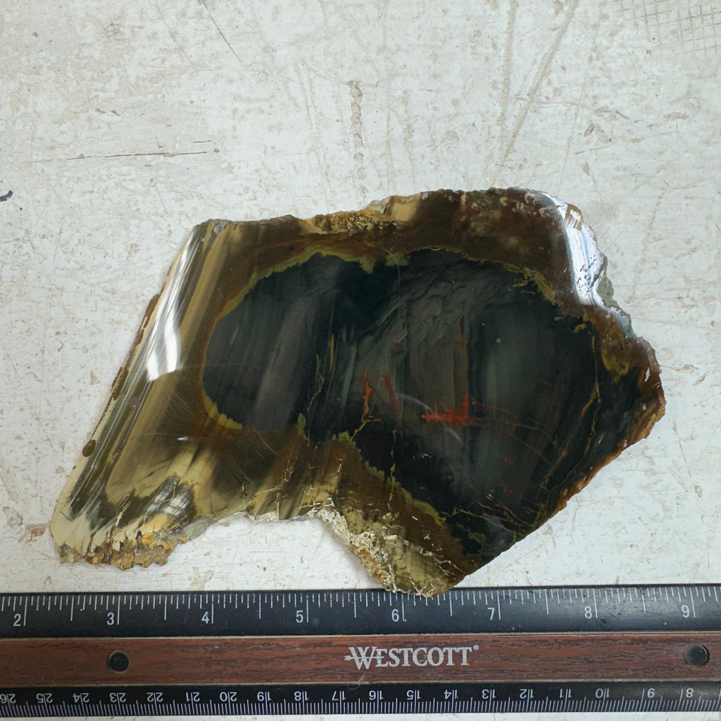 BLUE MOUNTAIN JASPER Polished Specimen Slab - 191 grams