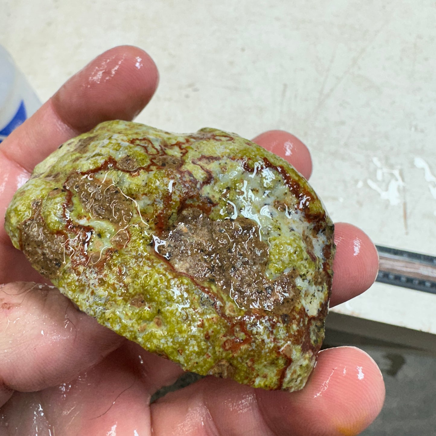 AGUA NUEVA AGATE Rough - 0.45 Pounds