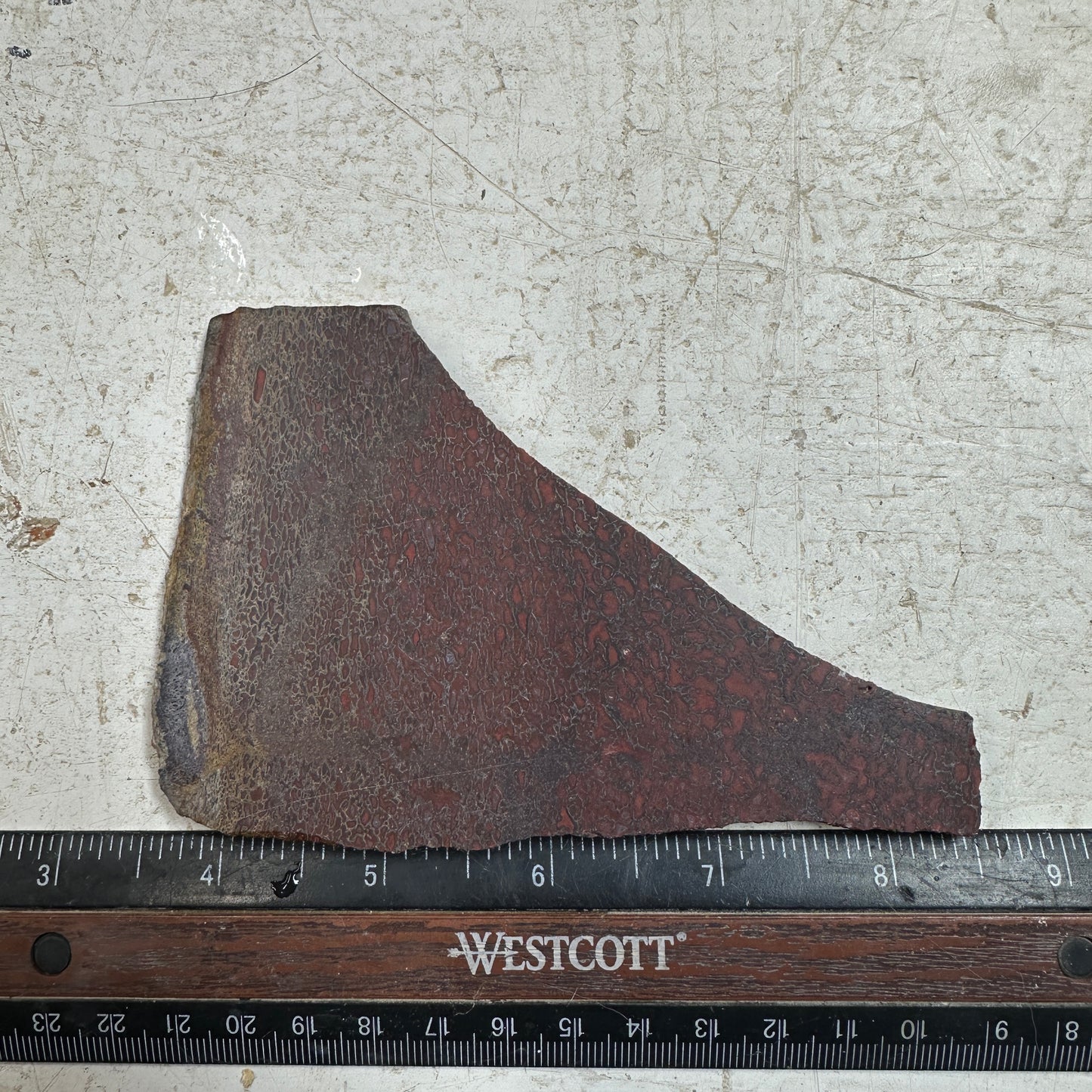 GEMBONE Dinosaur Bone Slab - 110 grams