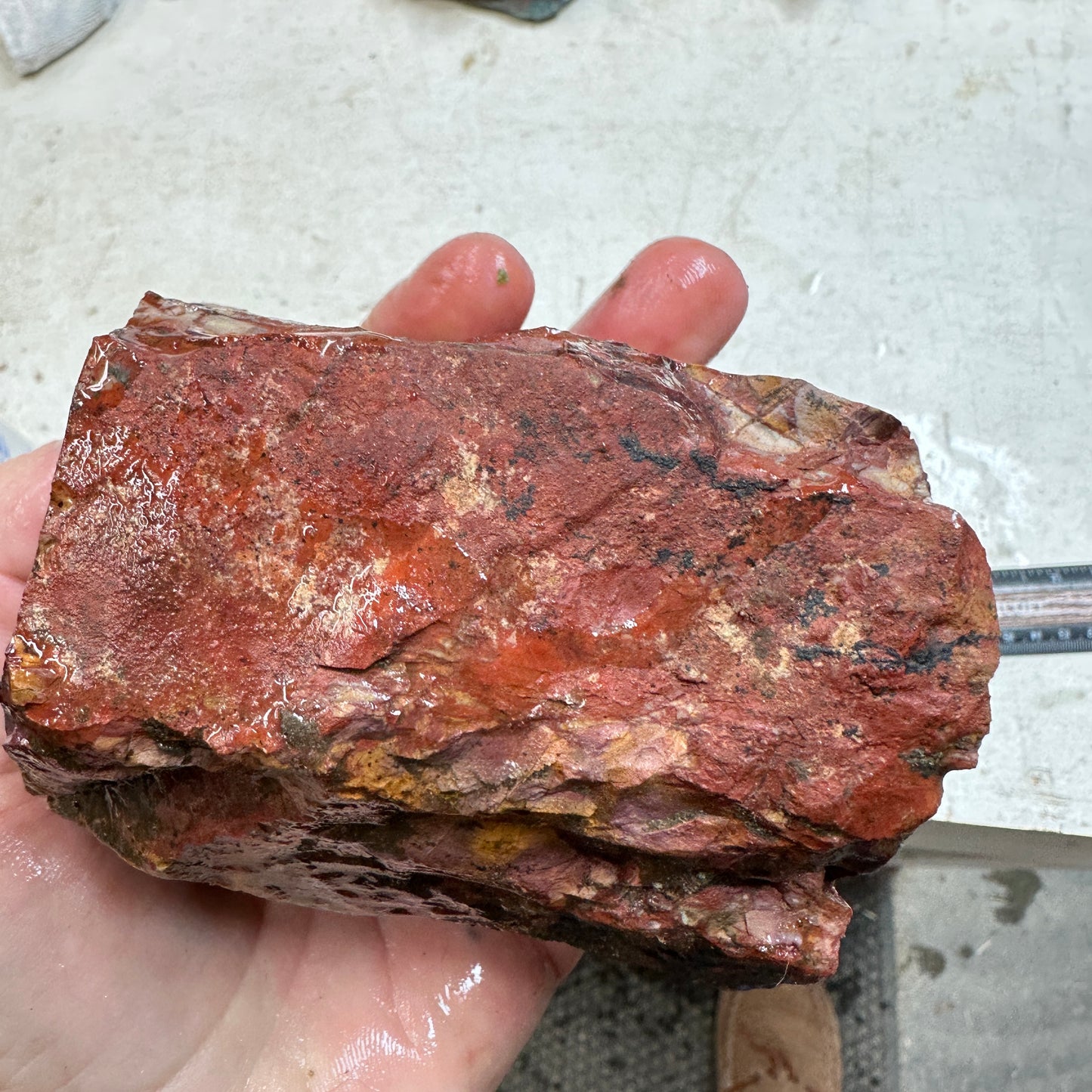 MESCALERO JASPER Faced Rough - 2.61 Pounds