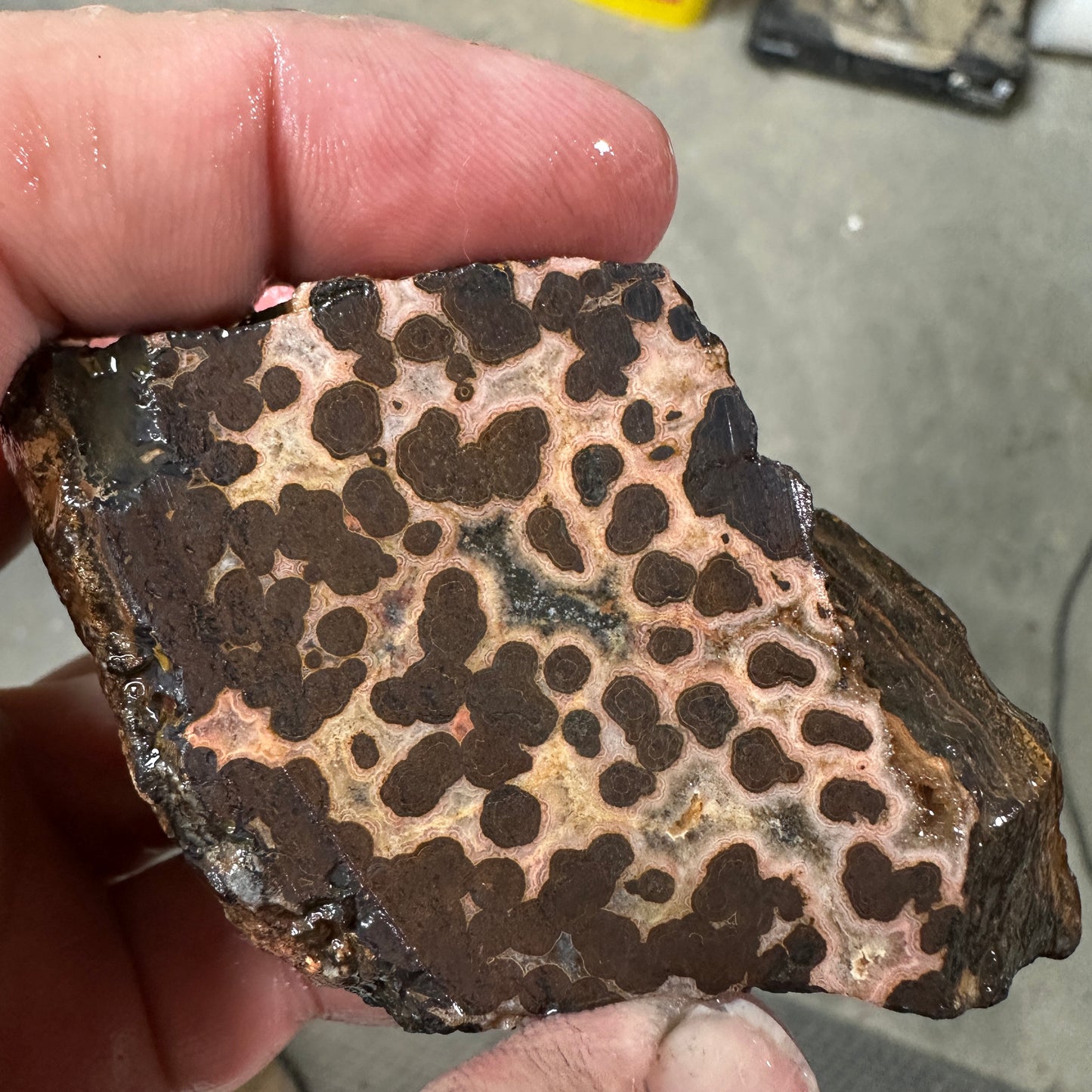 MOROCCAN SEAM AGATE Faced Rough - 0.94 Pounds