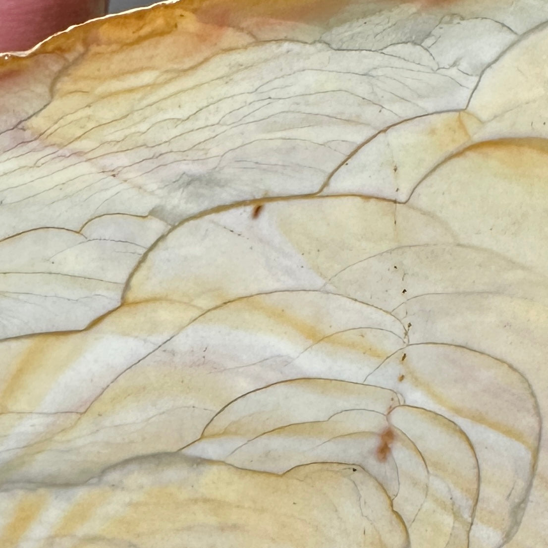 MISTY MOUNTAIN JASPER Faced Rough - 1.54 Pounds