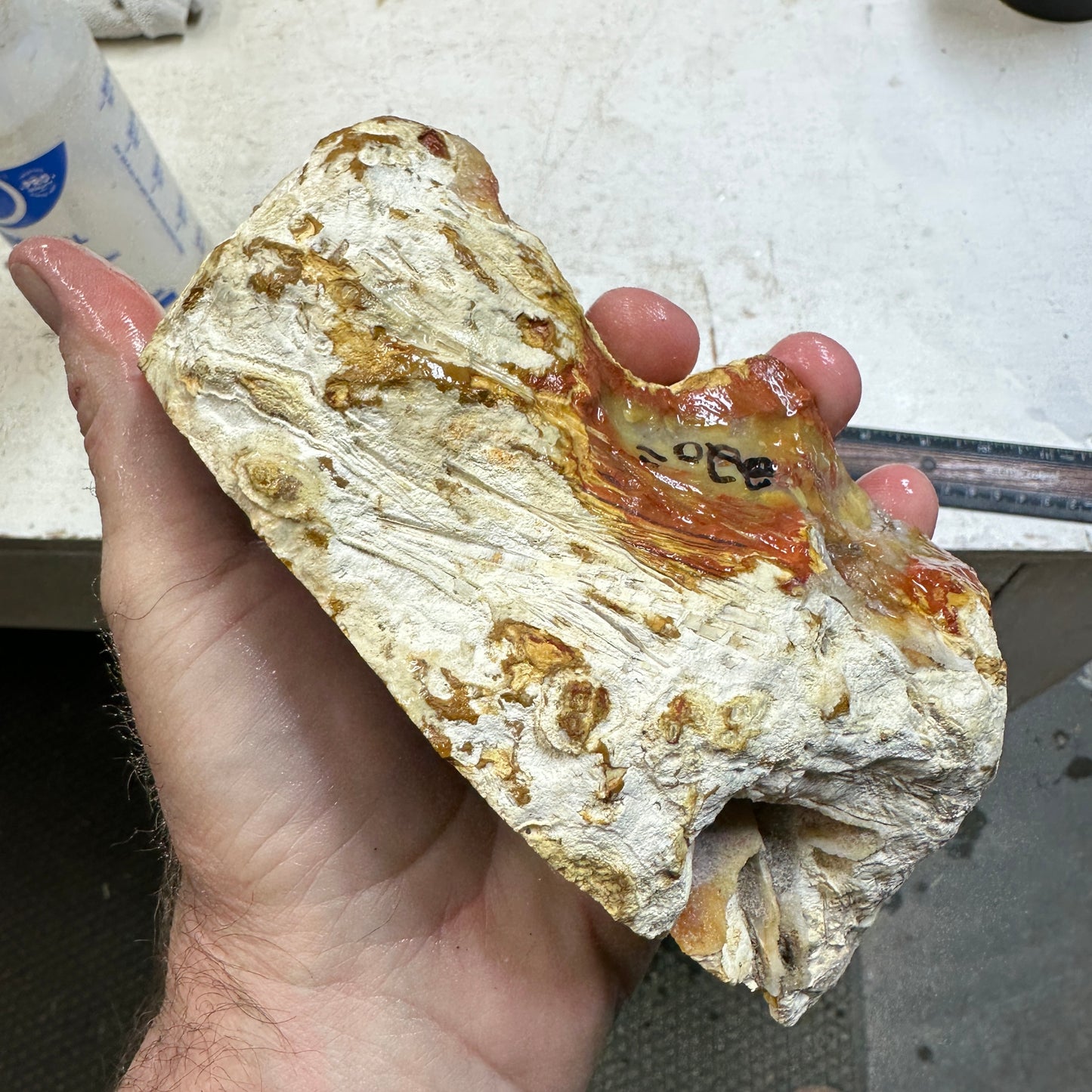 TUBE AGATE Faced Rough - 2.66 Pounds