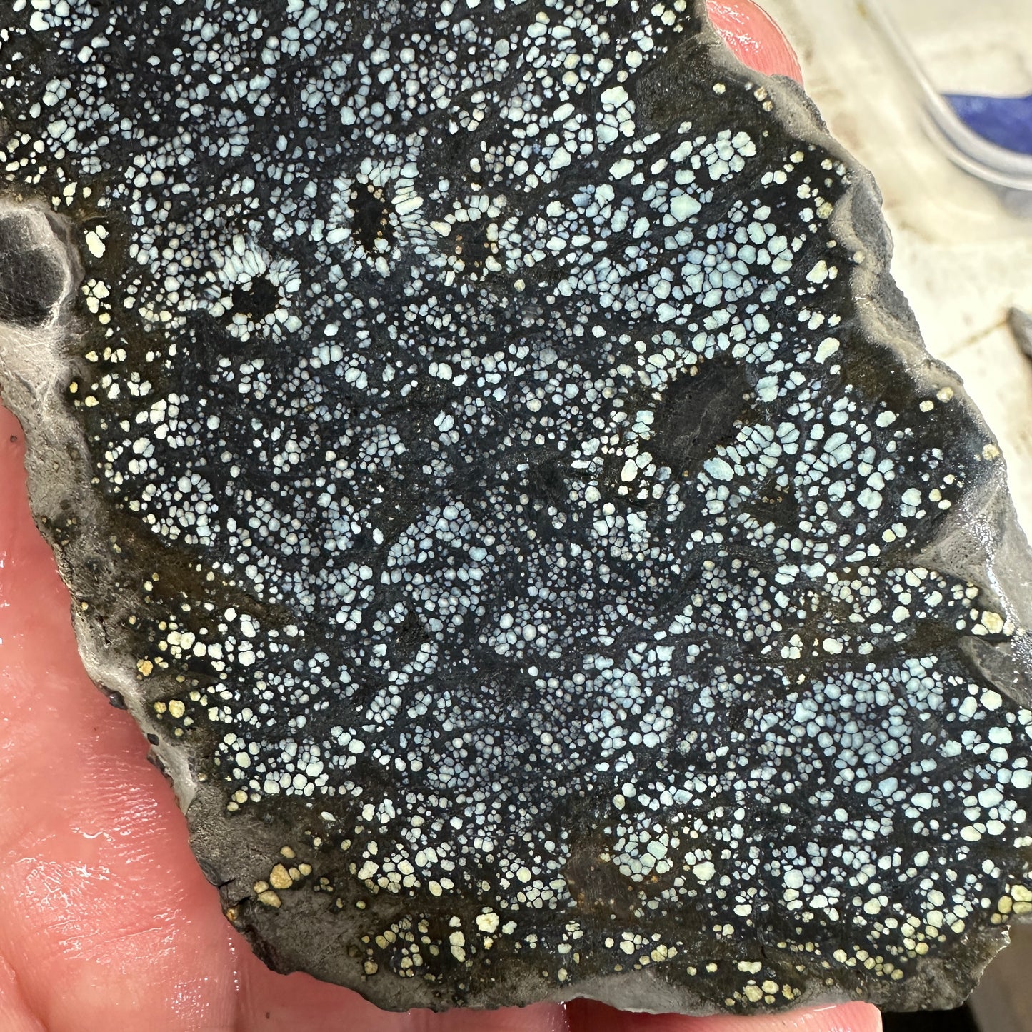 VISTA GRANDE VARISCITE Thick Slab - 198 grams