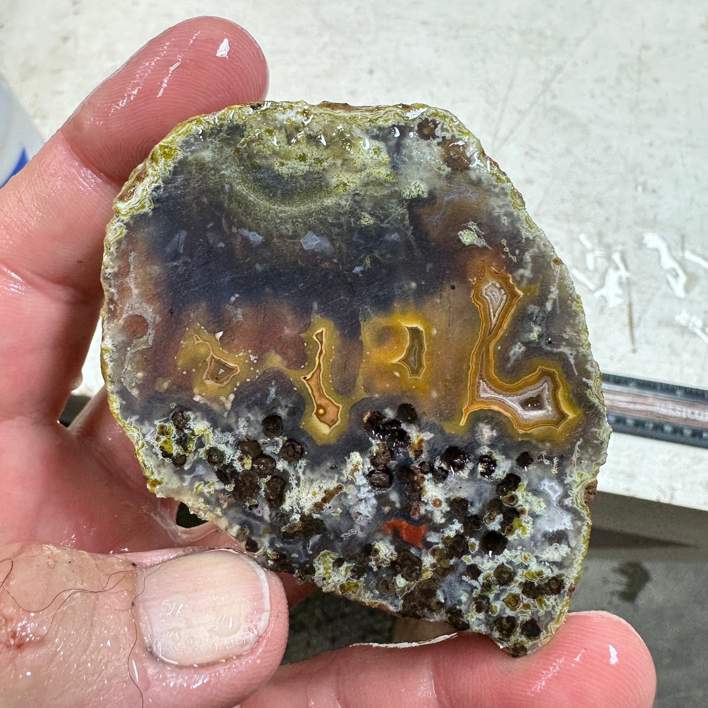 AGUA NUEVA AGATE Rough - 0.45 Pounds