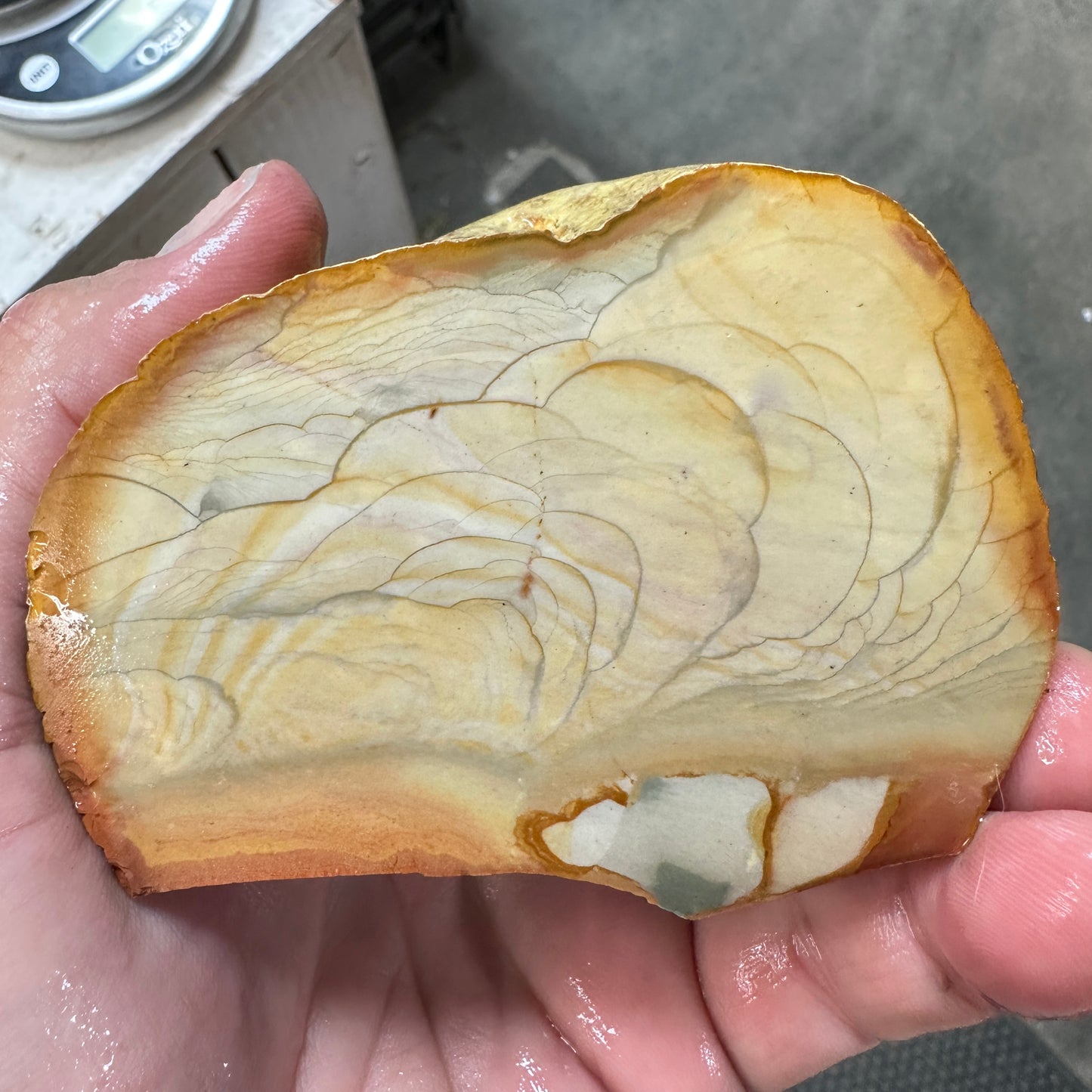 MISTY MOUNTAIN JASPER Faced Rough - 1.54 Pounds