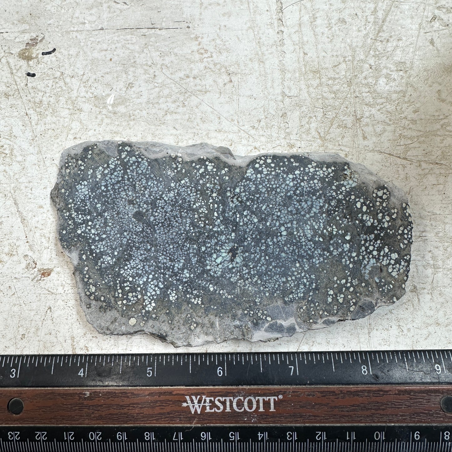VISTA GRANDE VARISCITE Thick Slab - 198 grams