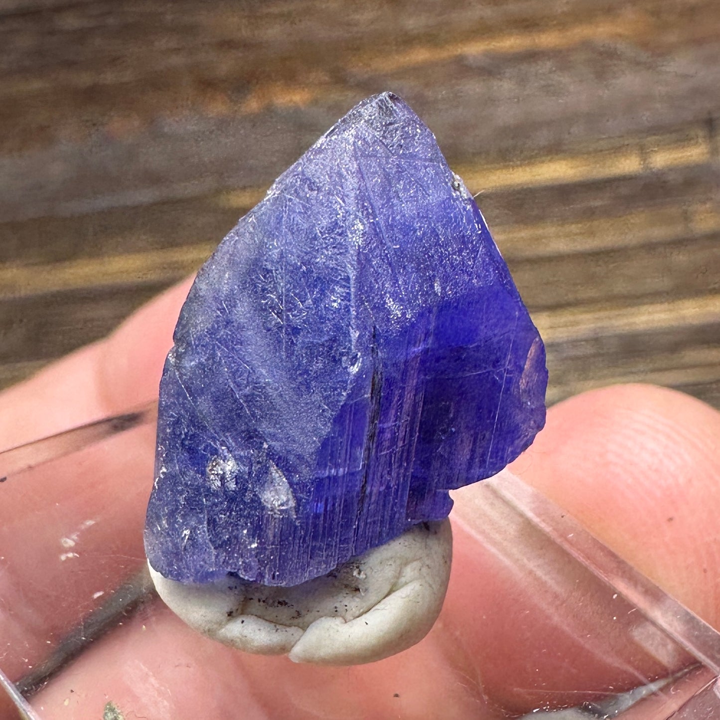 TANZANITE Crystal Display Mineral Specimen