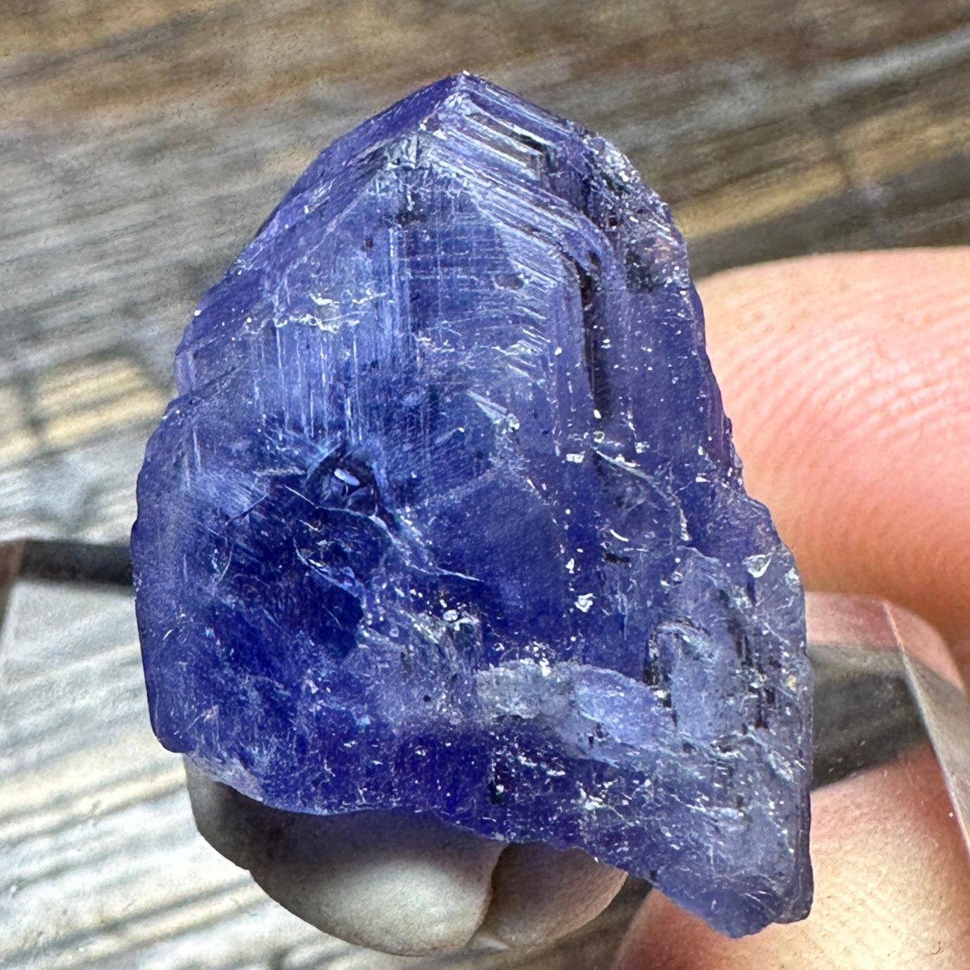 TANZANITE Crystal Display Mineral Specimen
