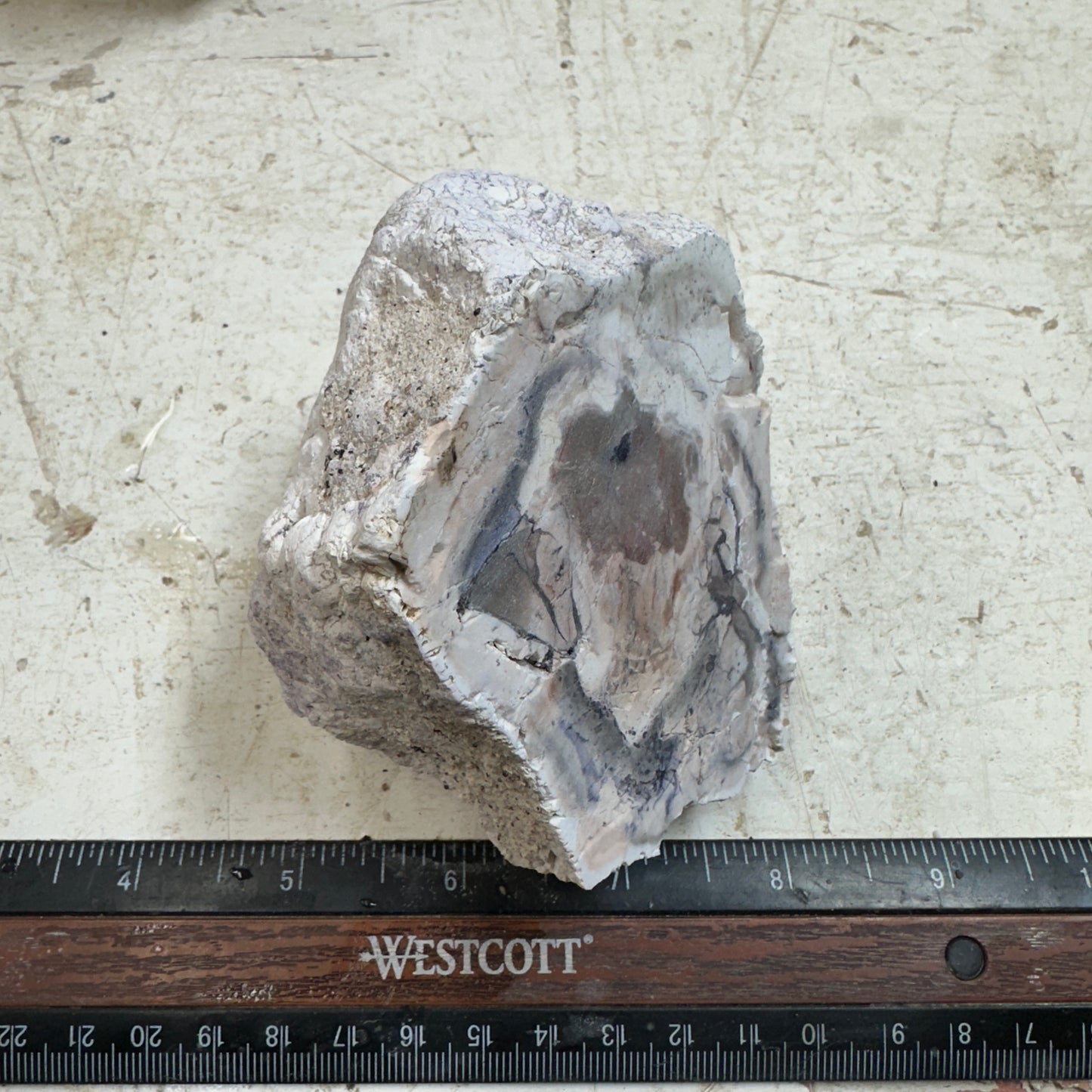 TIFFANY STONE Faced Rough - 1.08 Pounds
