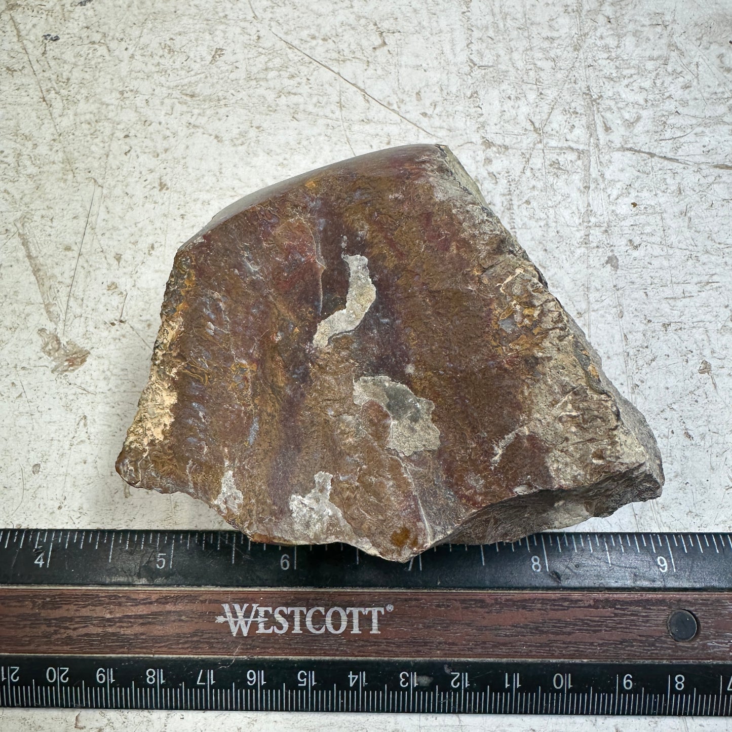 WINGATE PASS PLUME AGATE Windowed Rough - 0.94 Pounds