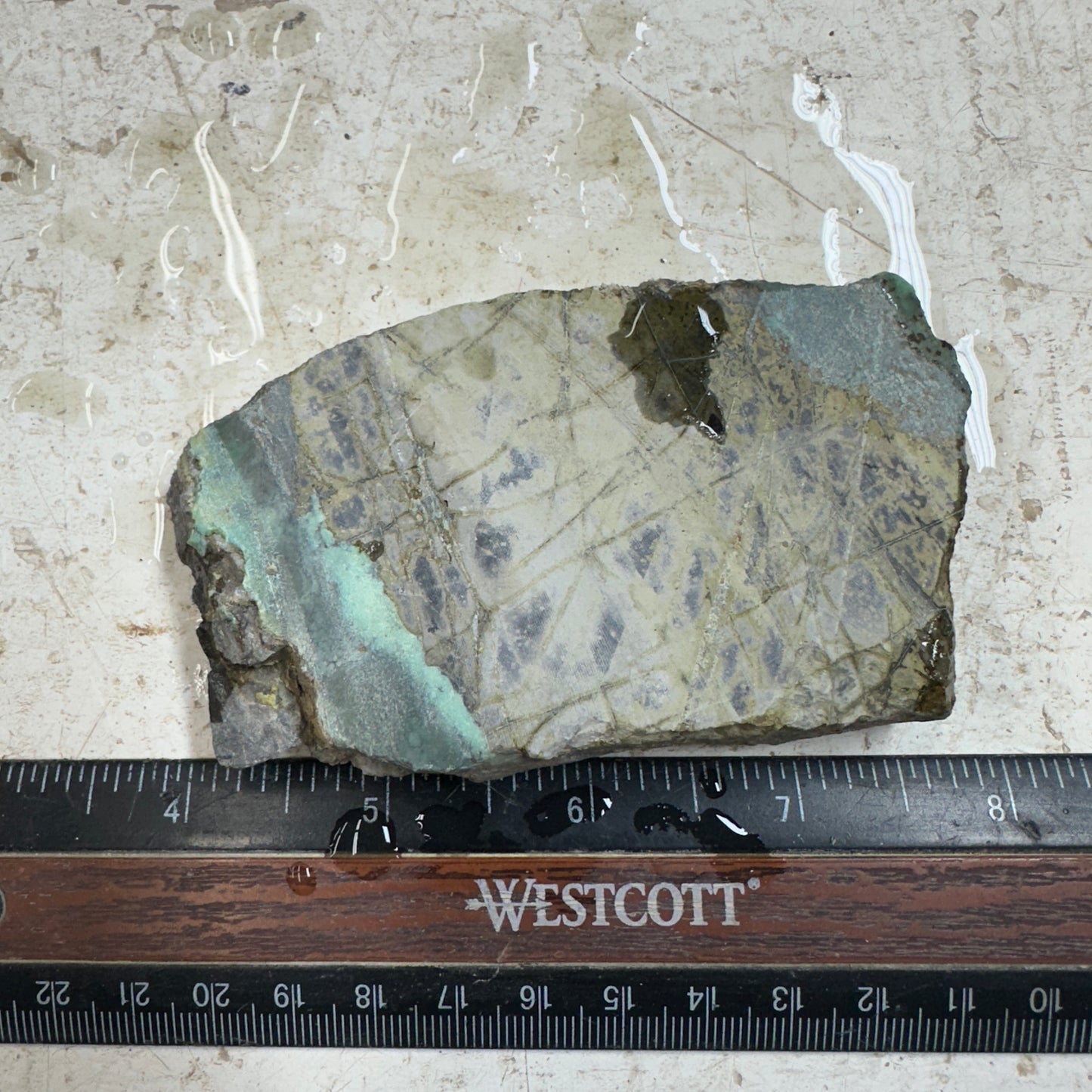 BROKEN ARROW VARISCITE Trimmed Rough Slab - 152 grams