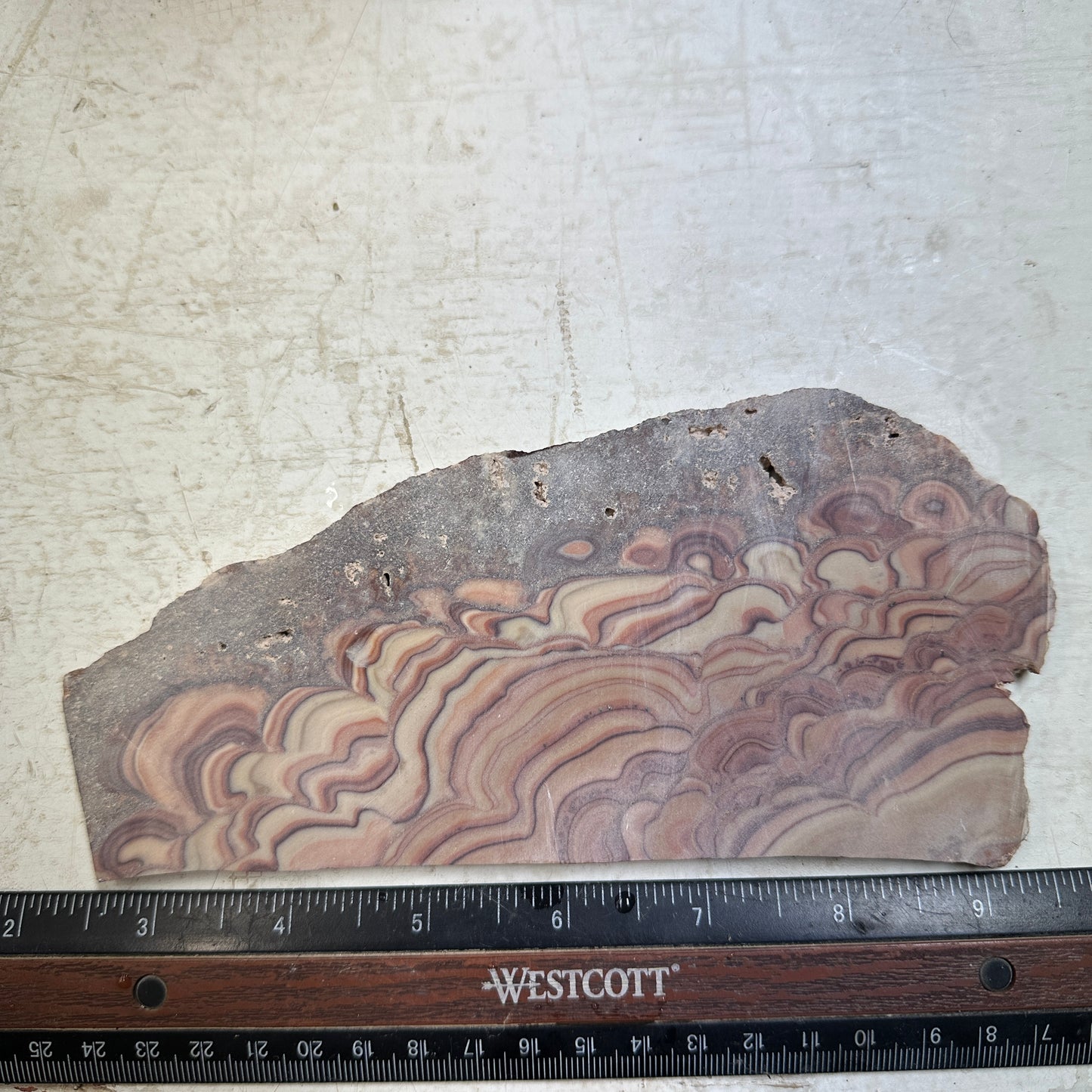 ROLLING HILLS DOLOMITE Slab - 200 grams