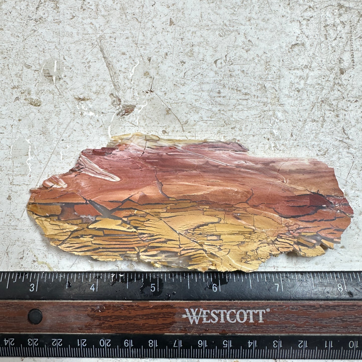 SUNSET HOWARDITE Slab - 70 grams