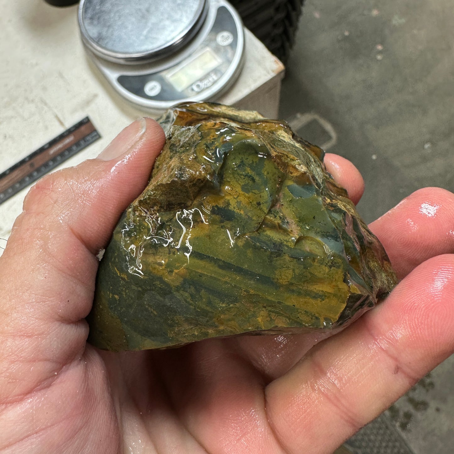 BLUE MOUNTAIN JASPER Rough - 0.99 Pounds