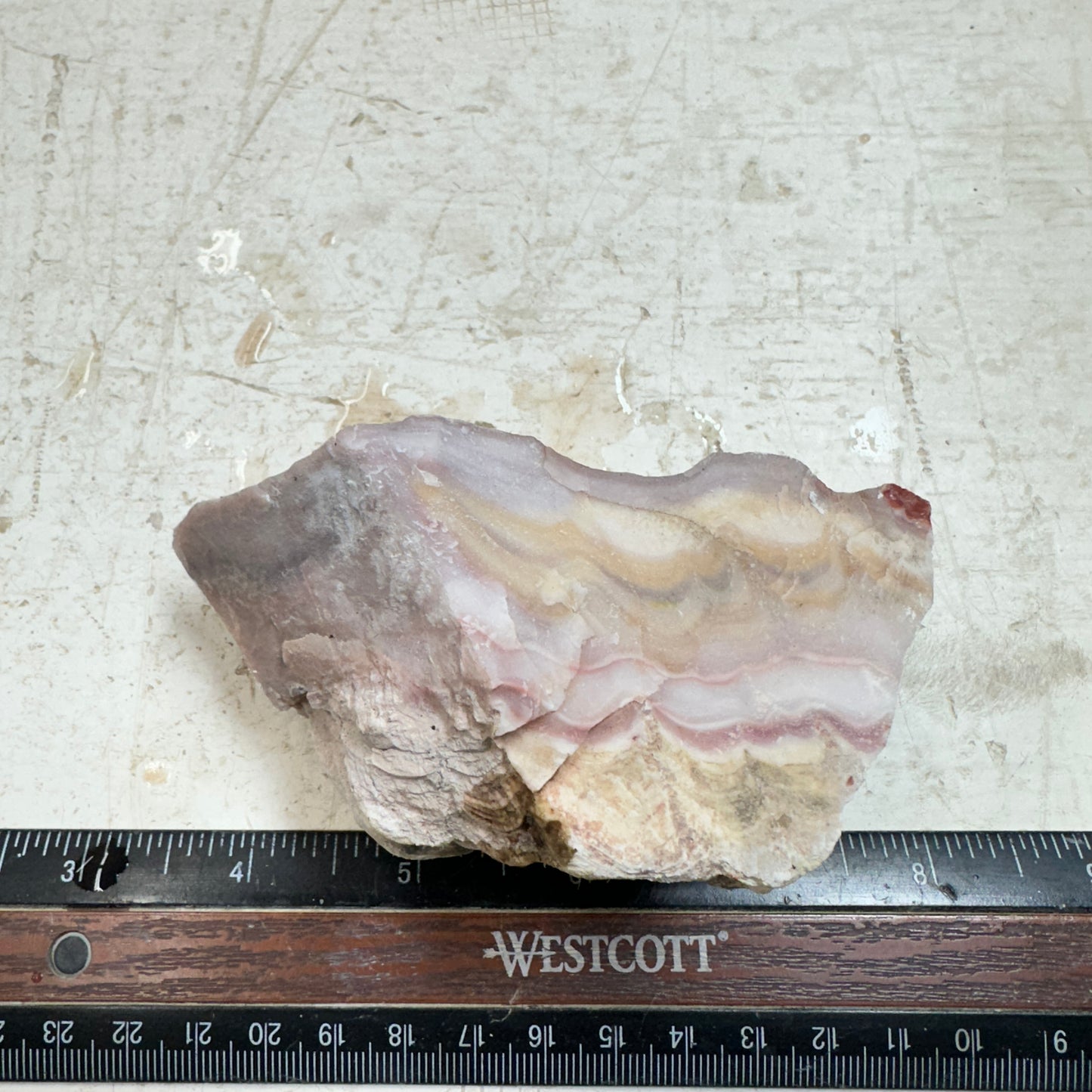 WINDY MOUNTAIN AGATE Rough - 0.71 Pounds
