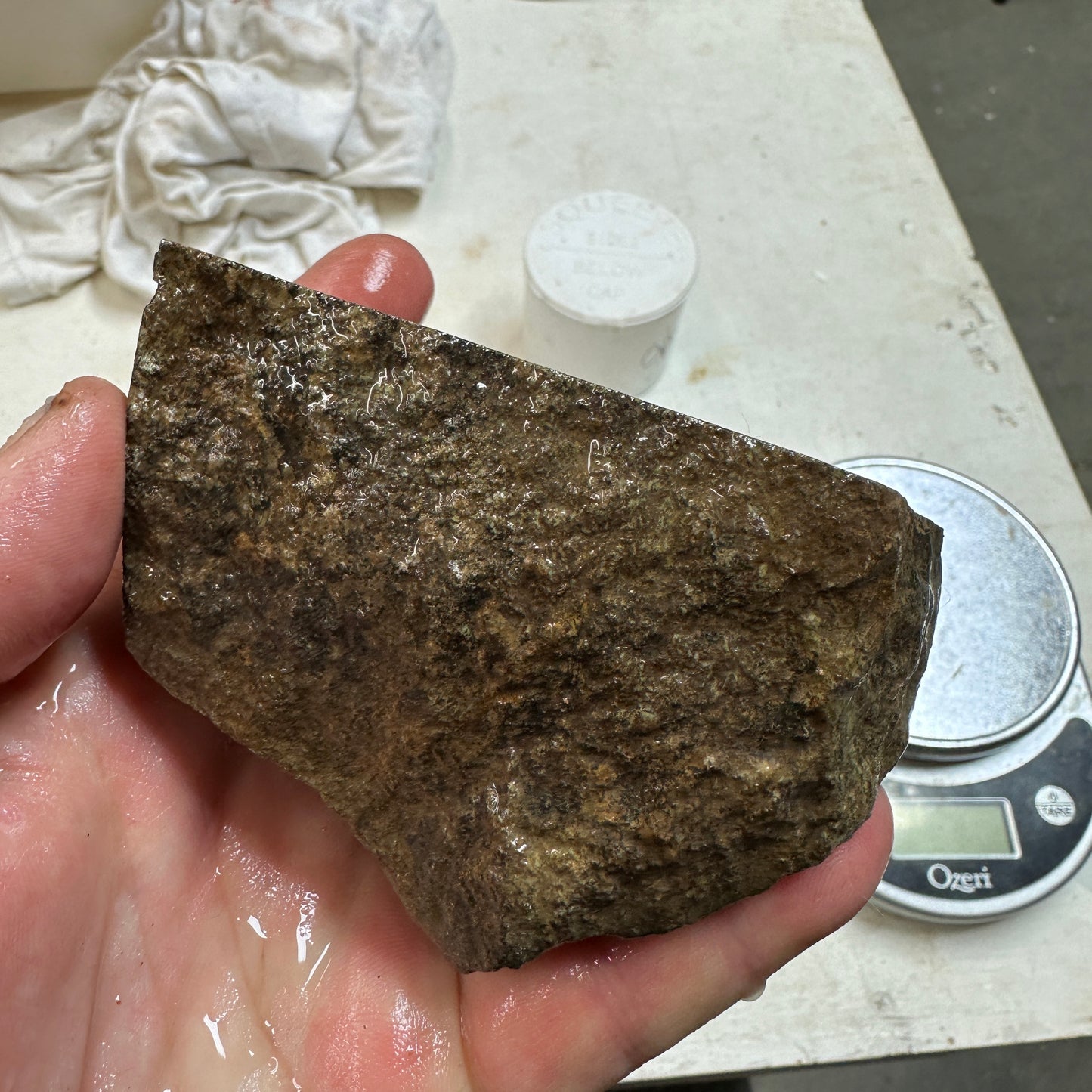 GEMBONE Dinosaur Bone Faced Rough - 1.20 Pounds