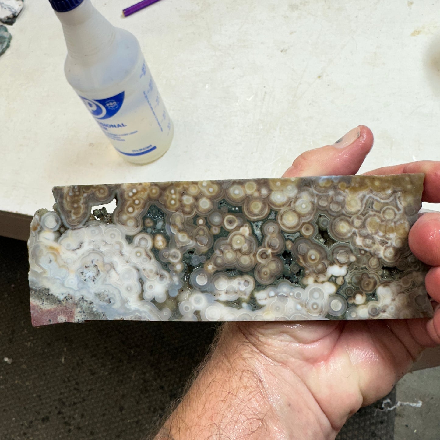 OCEAN JASPER Slab - 204 grams