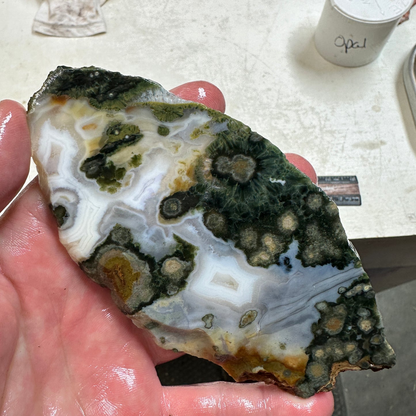 OCEAN JASPER Slab - 127 grams