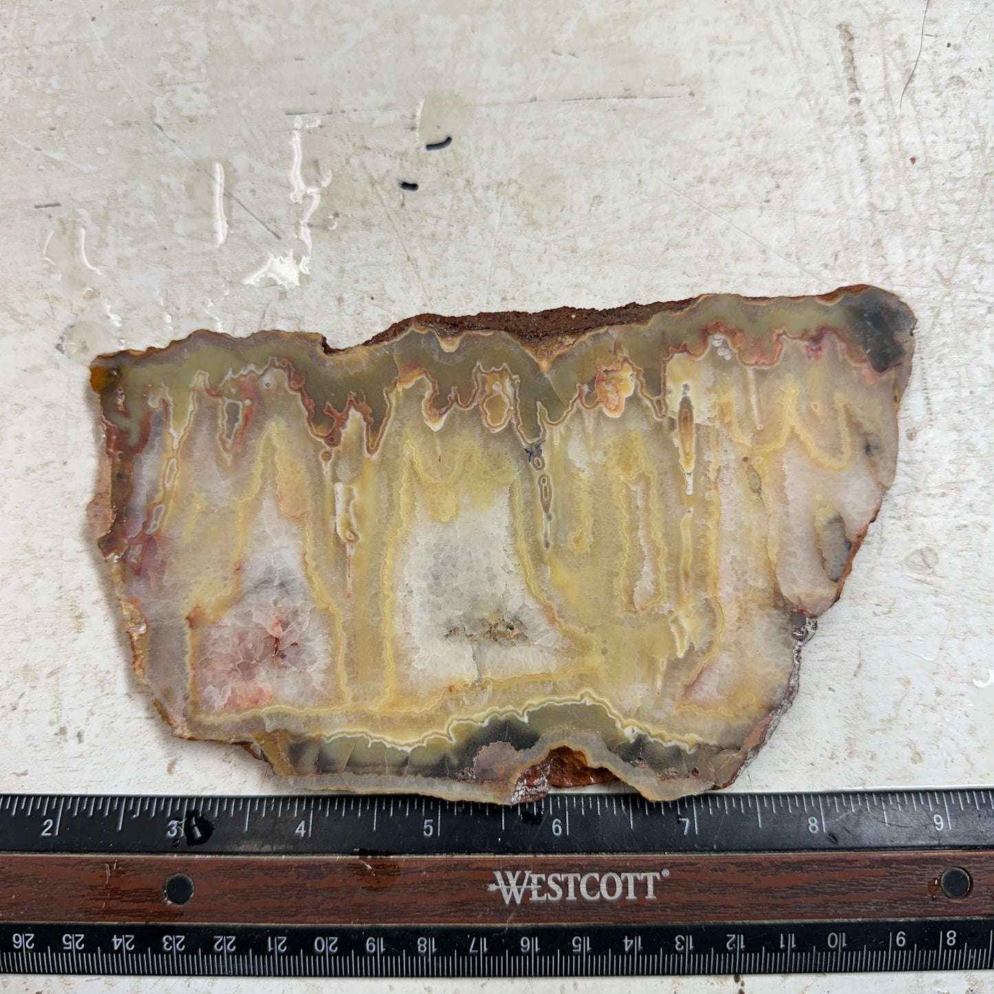 AUSTRALIAN AGATE Slab - 267 grams