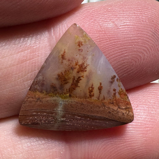 CAREY PLUME AGATE cabochon