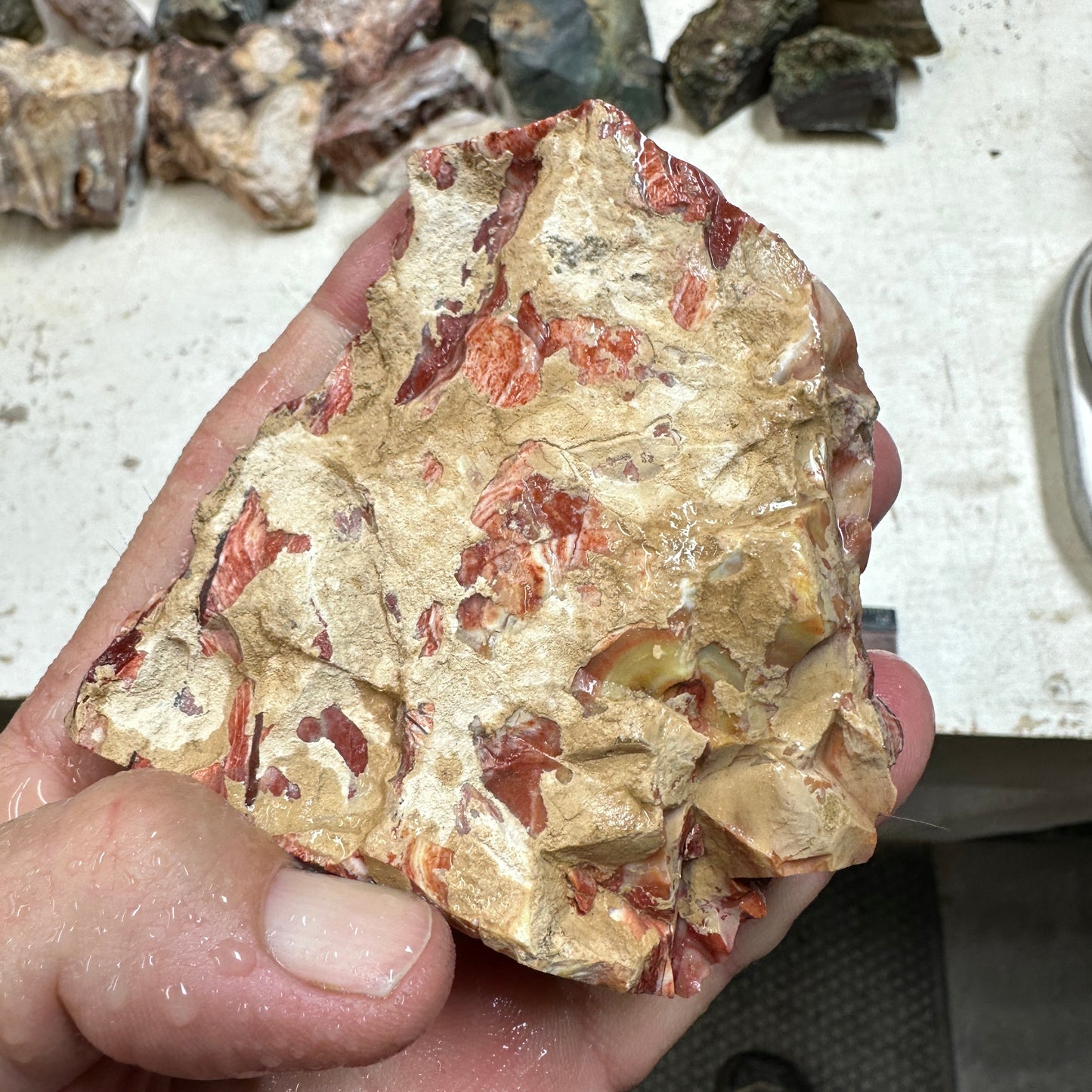 Red HOWARDITE Faced Rough - 0.46 pounds