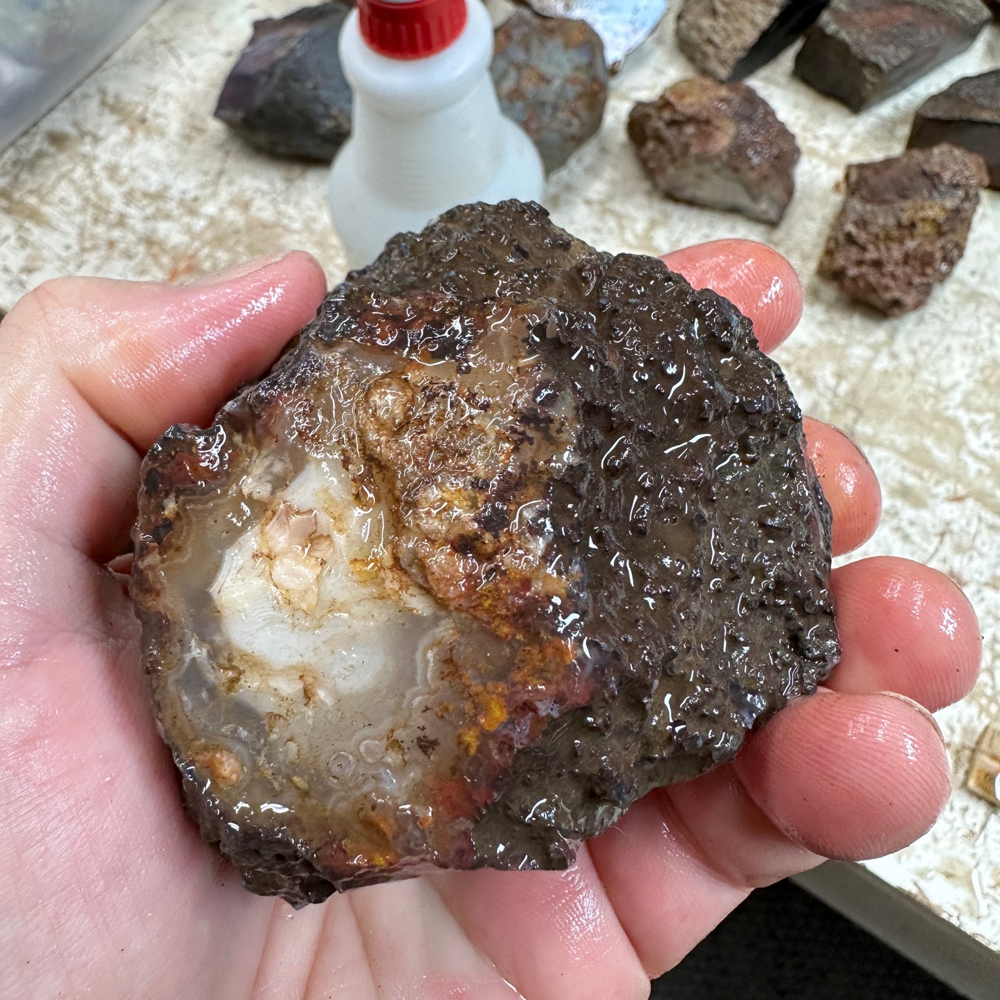 MOROCCAN AGATE Rough - 0.88 Pounds