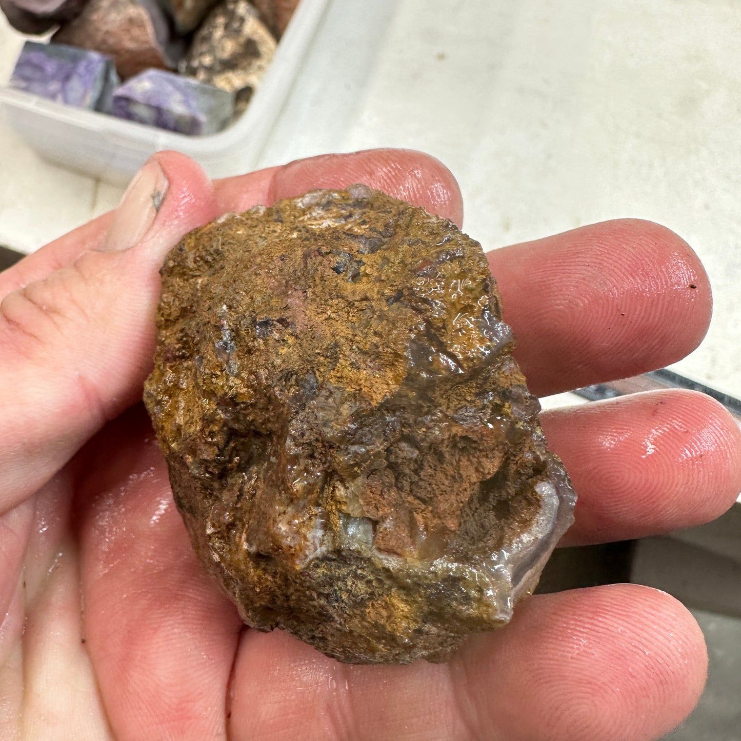 COYOMITO AGATE Rough - 0.21 Pounds