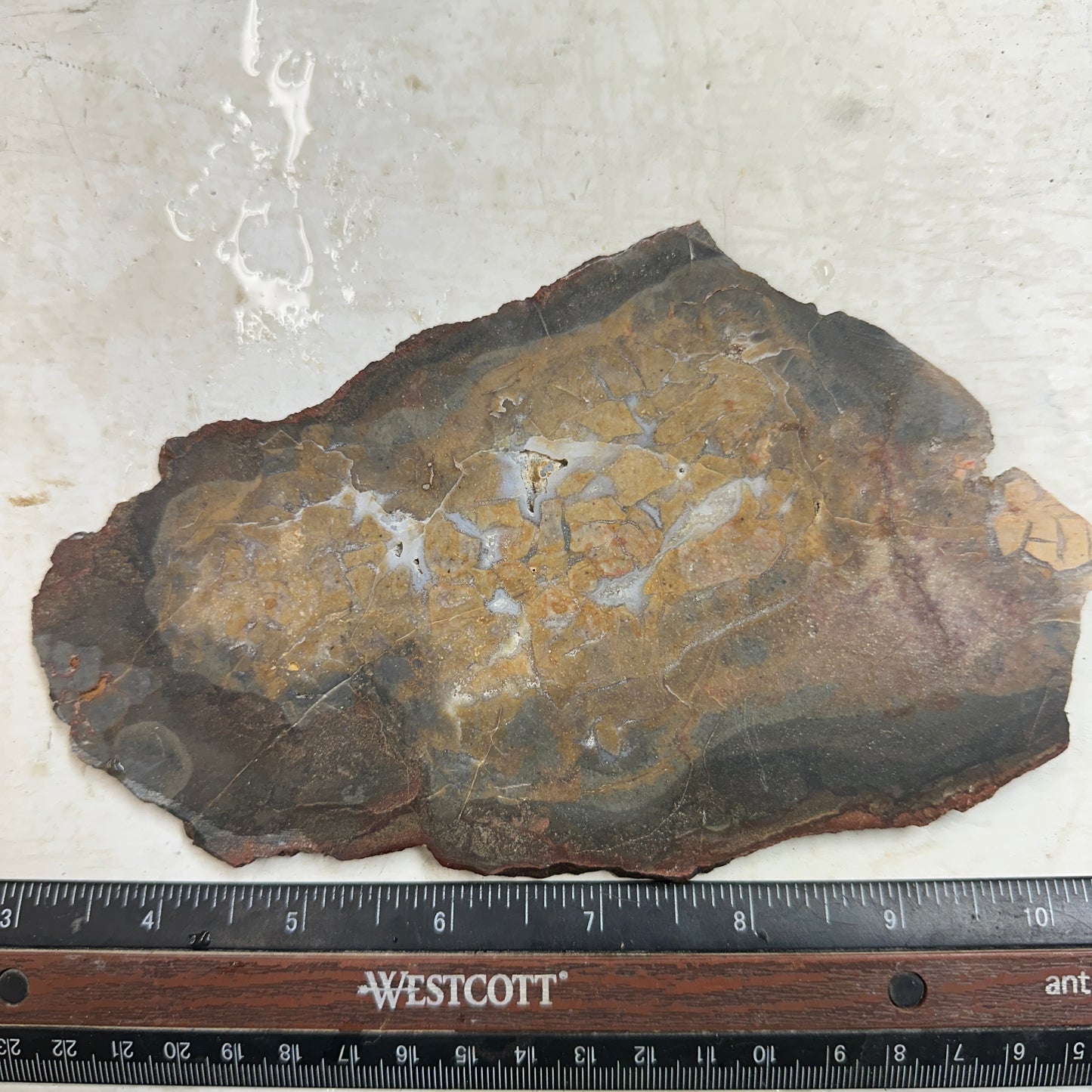 DRY CREEK JASPER Slab - 235 grams