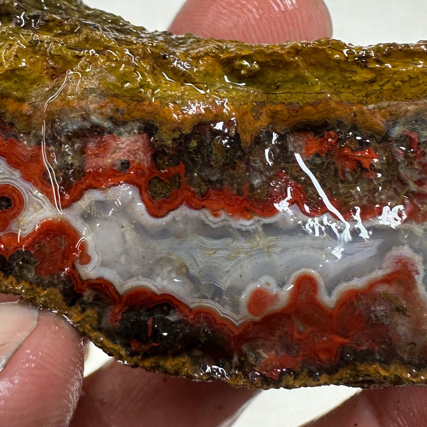 MOROCCAN SEAM AGATE Rough - 0.36 Pounds