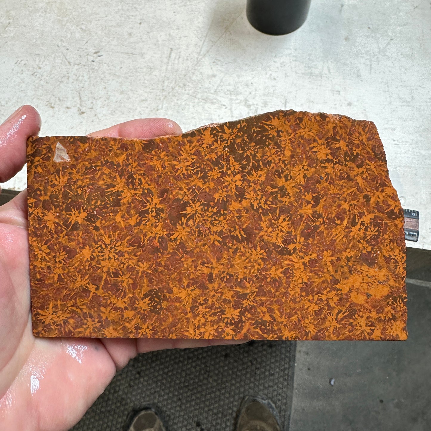 STARBURST RHYOLITE Slab - 254 grams