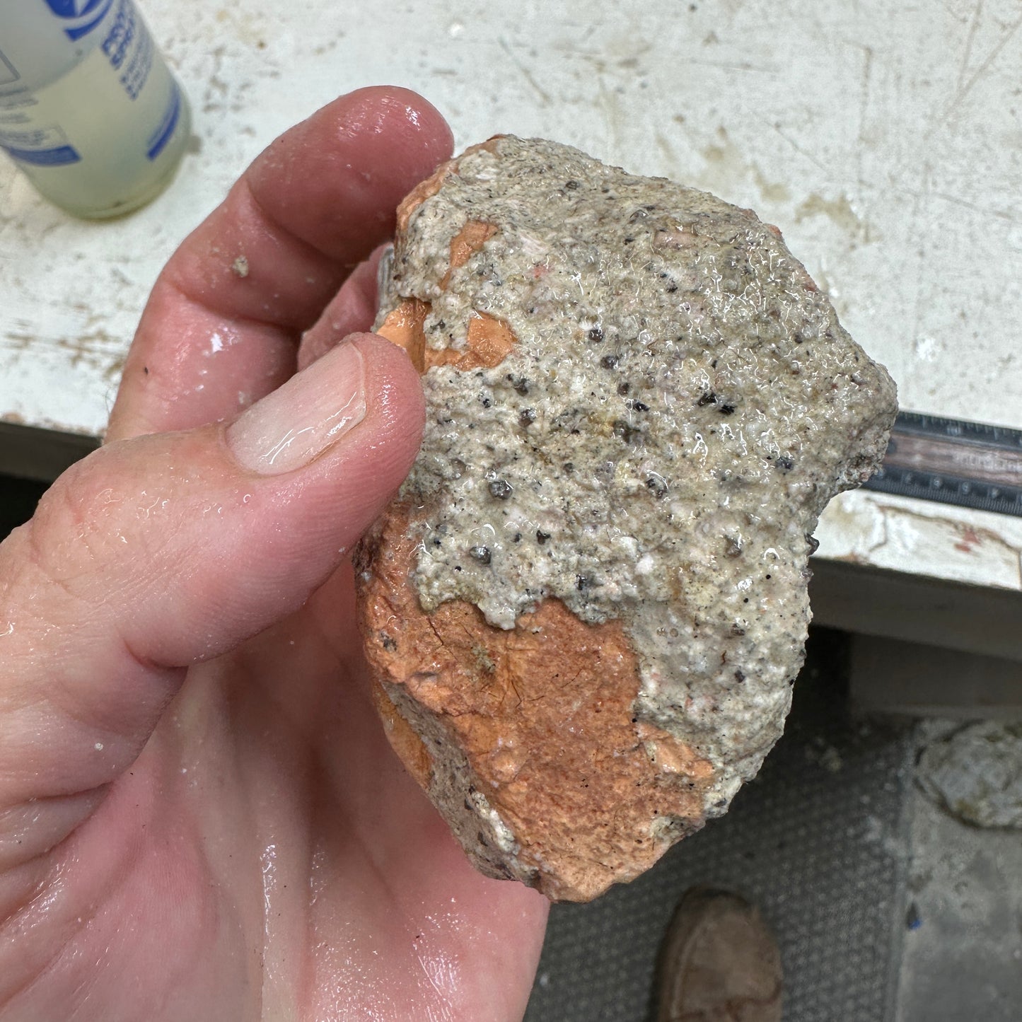 TIFFANY STONE Rough - 1.32 Pounds