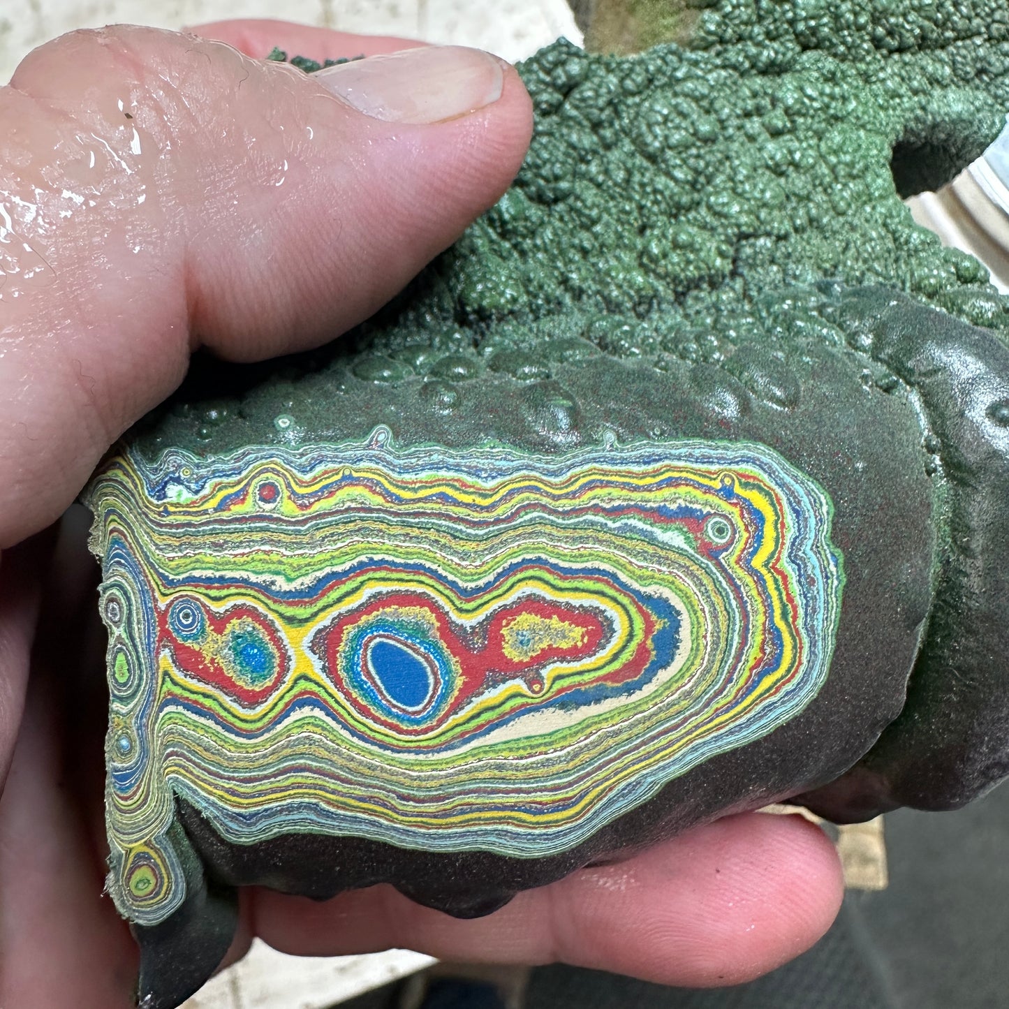 PLAYGROUND FORDITE Rough - 332 grams