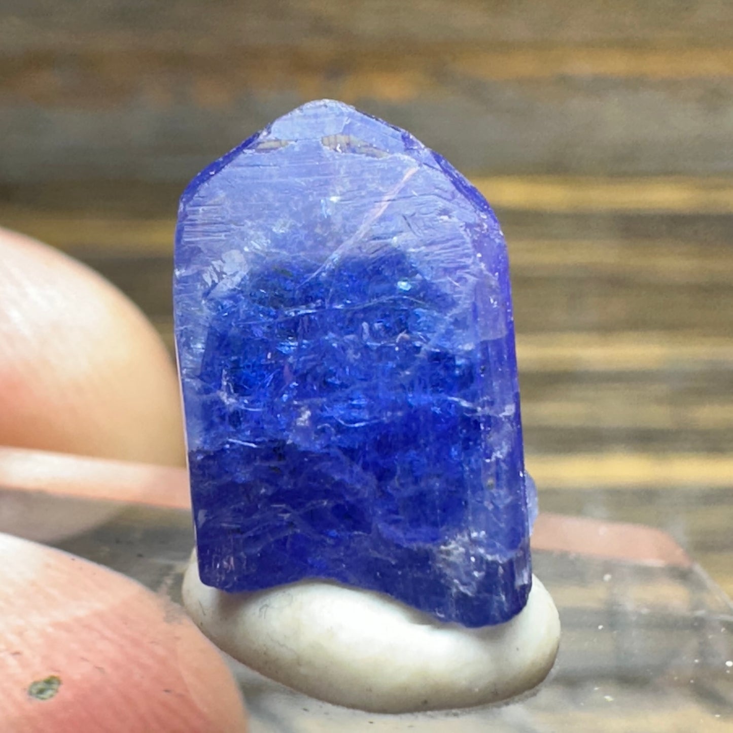 TANZANITE Crystal Display Mineral Specimen