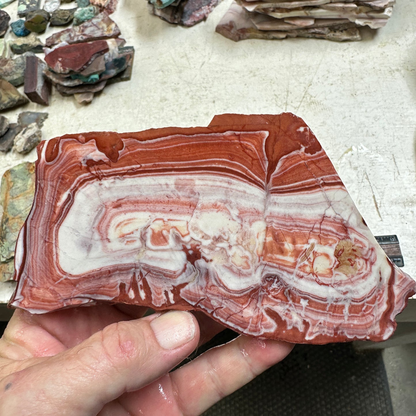 WINDY MOUNTAIN JASPER Slab - 211 grams