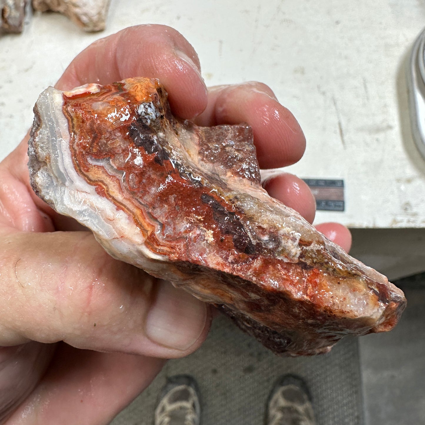 CRAZY LACE AGATE Rough - 0.95 pounds