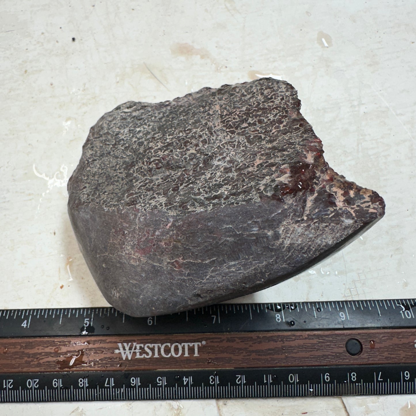 GEMBONE Dinosaur Bone Faced Rough - 1.41 Pounds