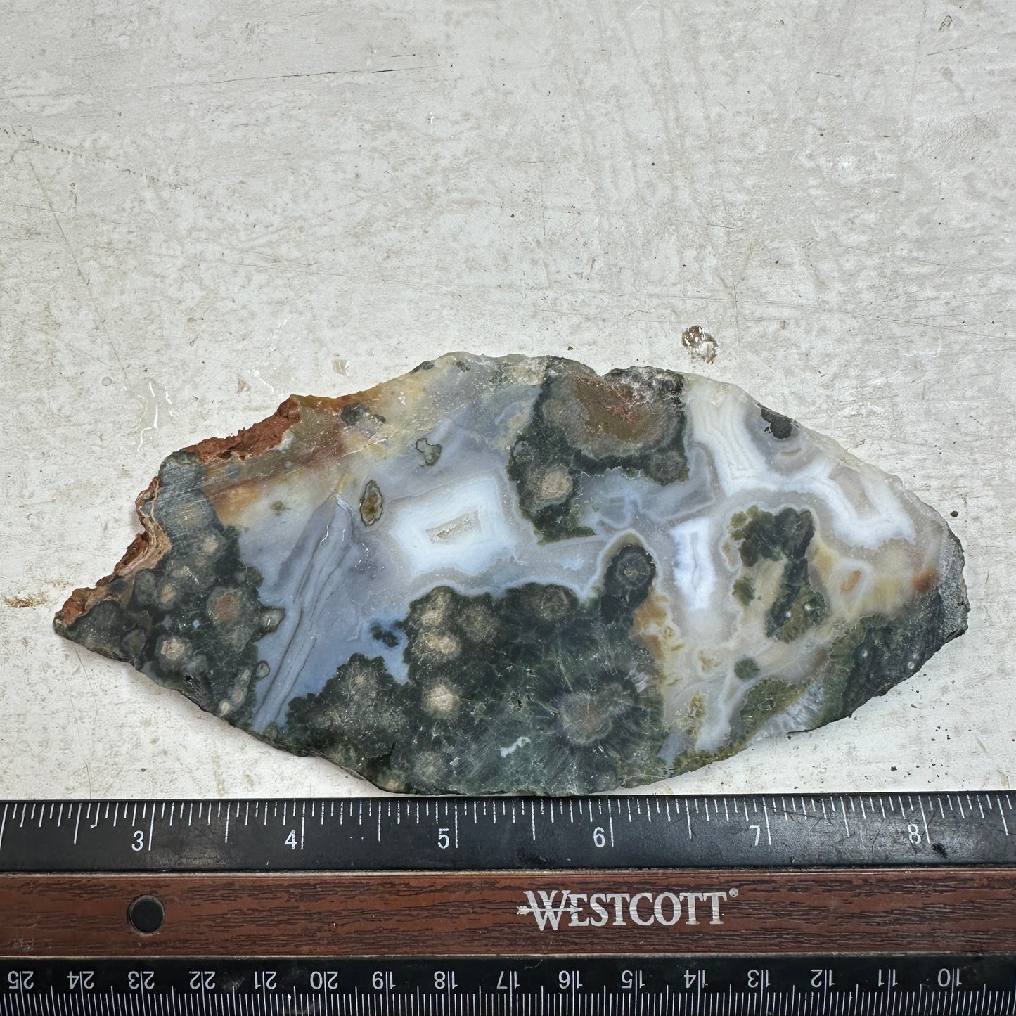 OCEAN JASPER Slab - 127 grams