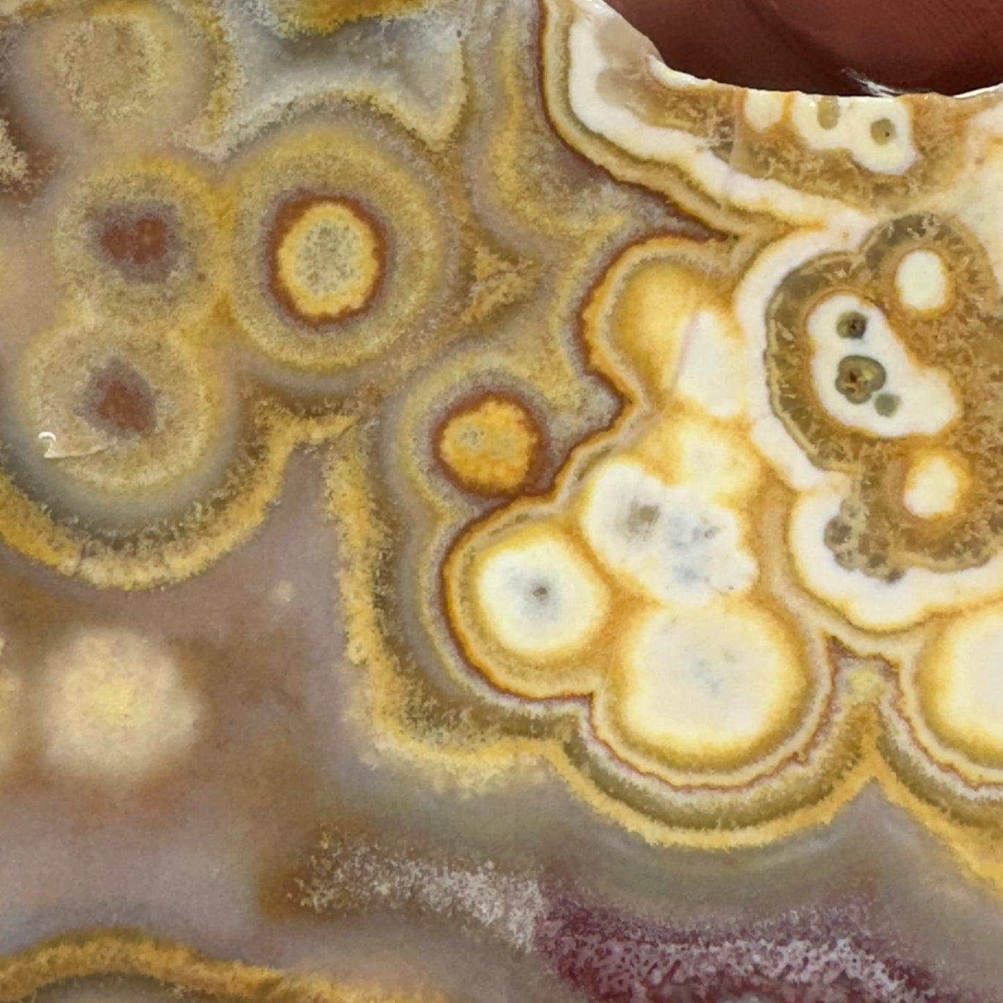 CRAZY LACE AGATE Slab - 165 grams