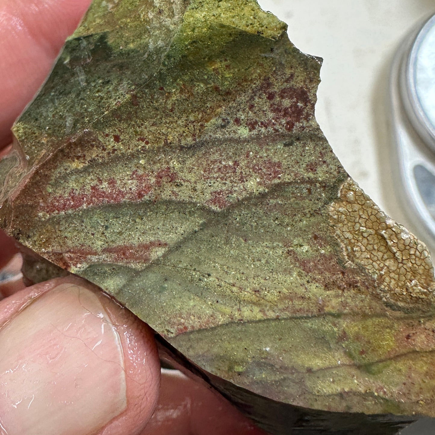 Orbed ECHO RIDGE JASPER Rough - 0.34 Pounds